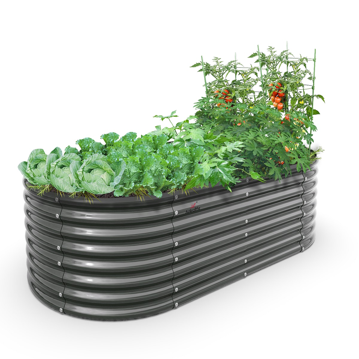 Zeus & Ruta 840GARBED-7 Raised-Garden-Beds - View #2