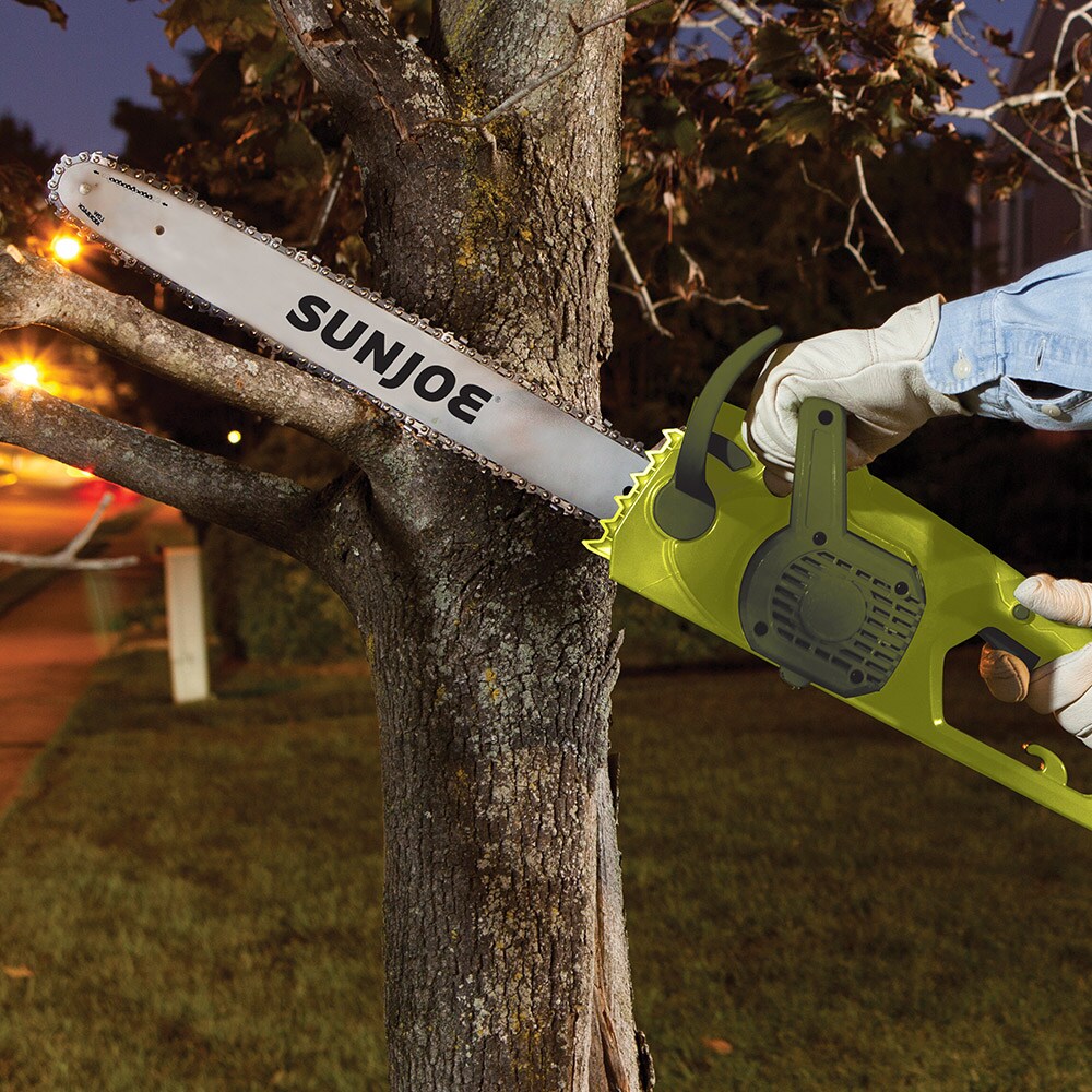 Chainsaw vs Pole Pruner: what is the difference?