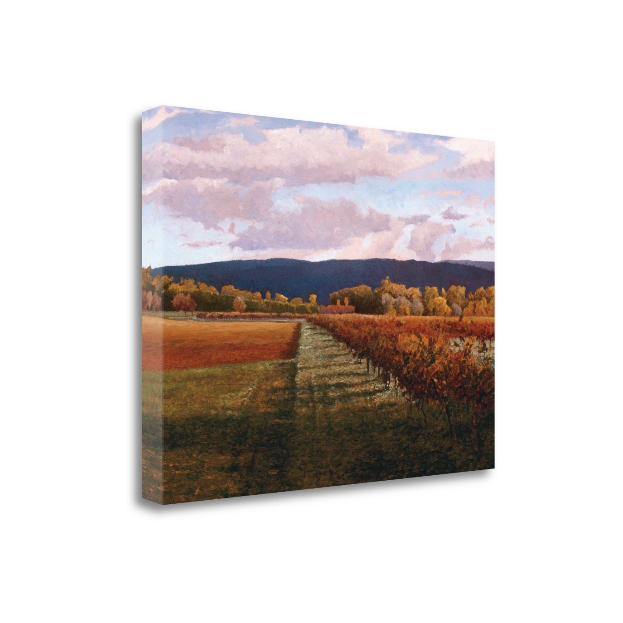 Tangletown Fine Art CALKP131-4535C Vaucluse Kent Lovelace 35-in H x 45-in W Landscape Print on Canvas