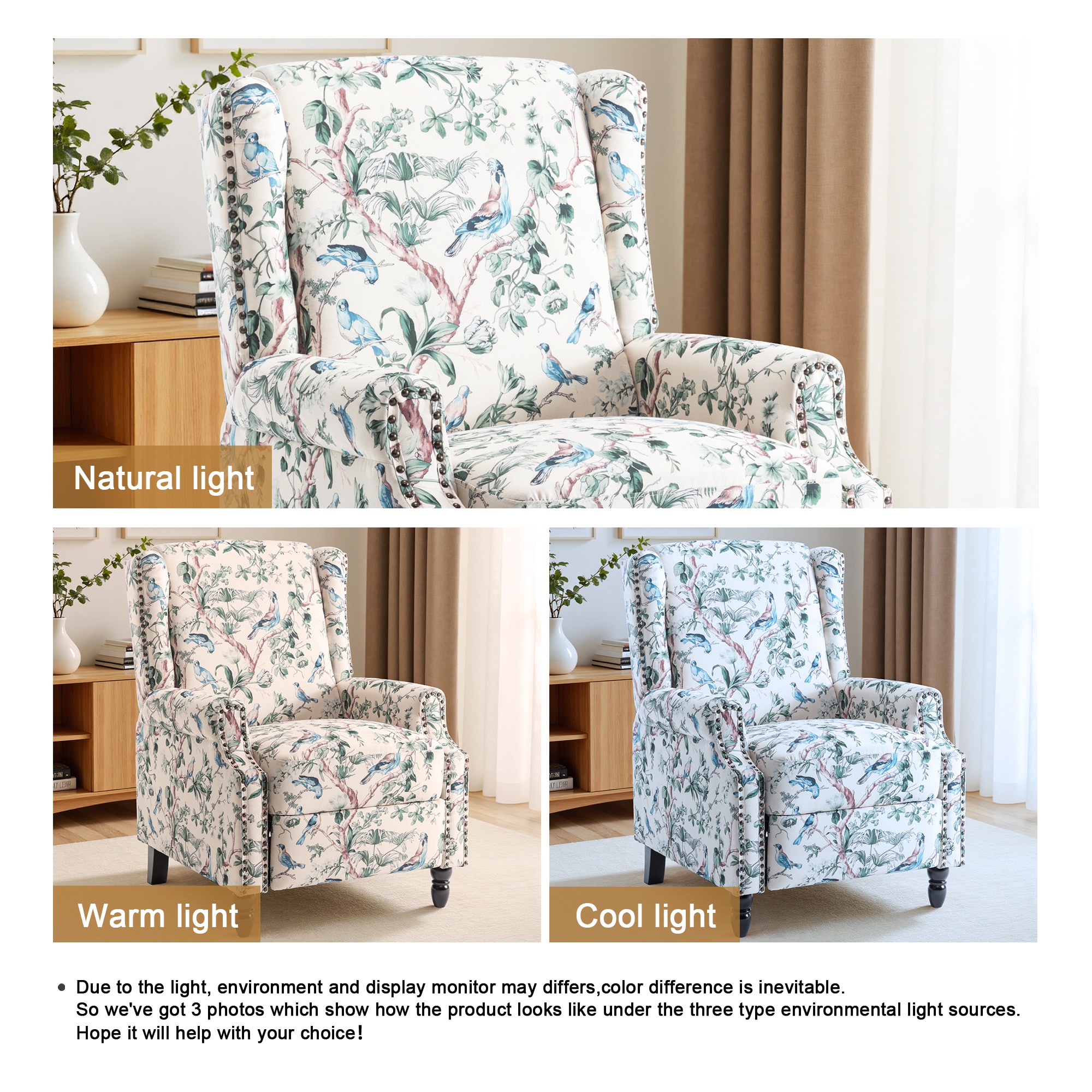 Dreamsidea LS-CH58-BIR-2 recliners - View #9