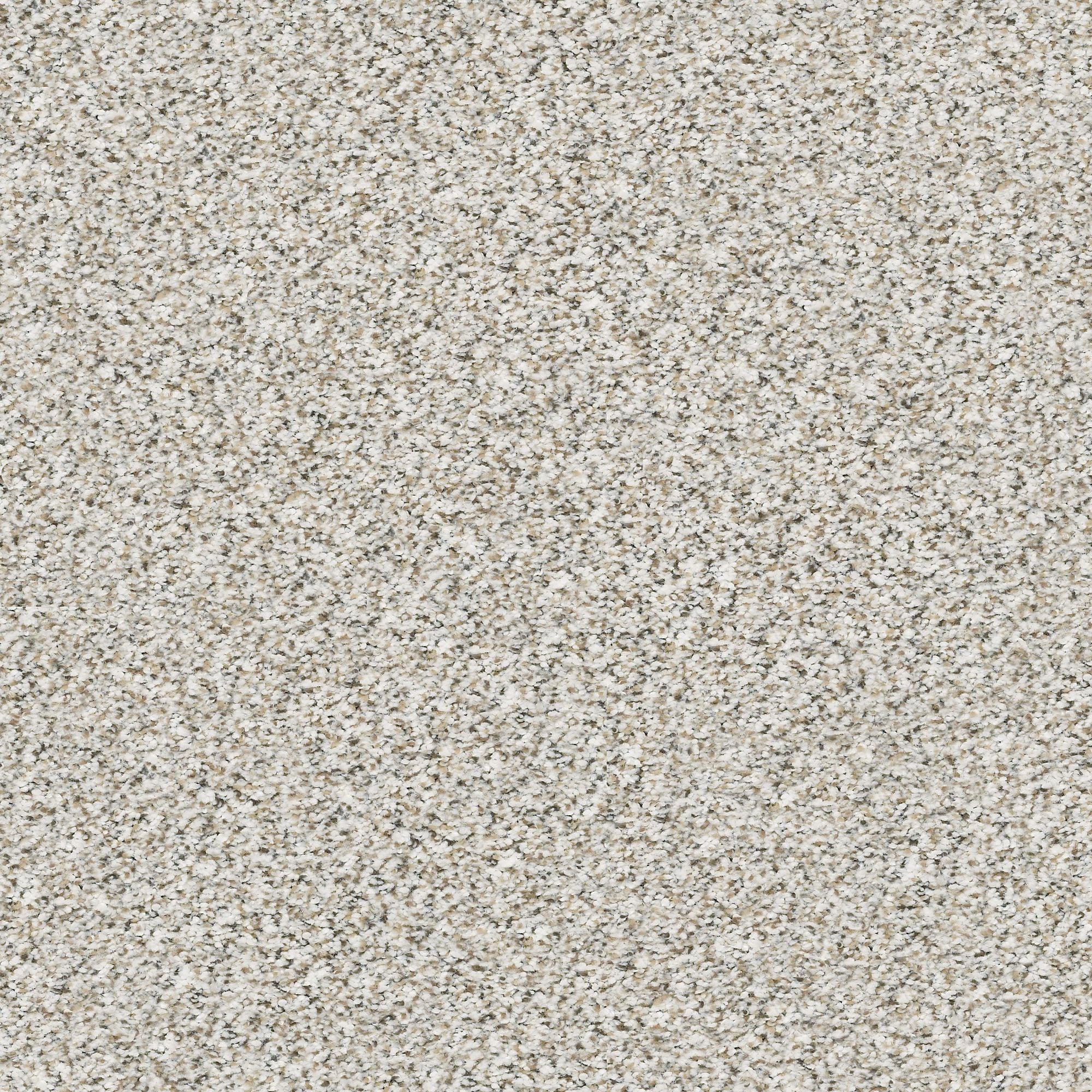 STAINMASTER PetProtect 7L91100177 Very Dapper III Whitewash Off-white 57.5-oz sq yard Nylon Textured Indoor Carpet