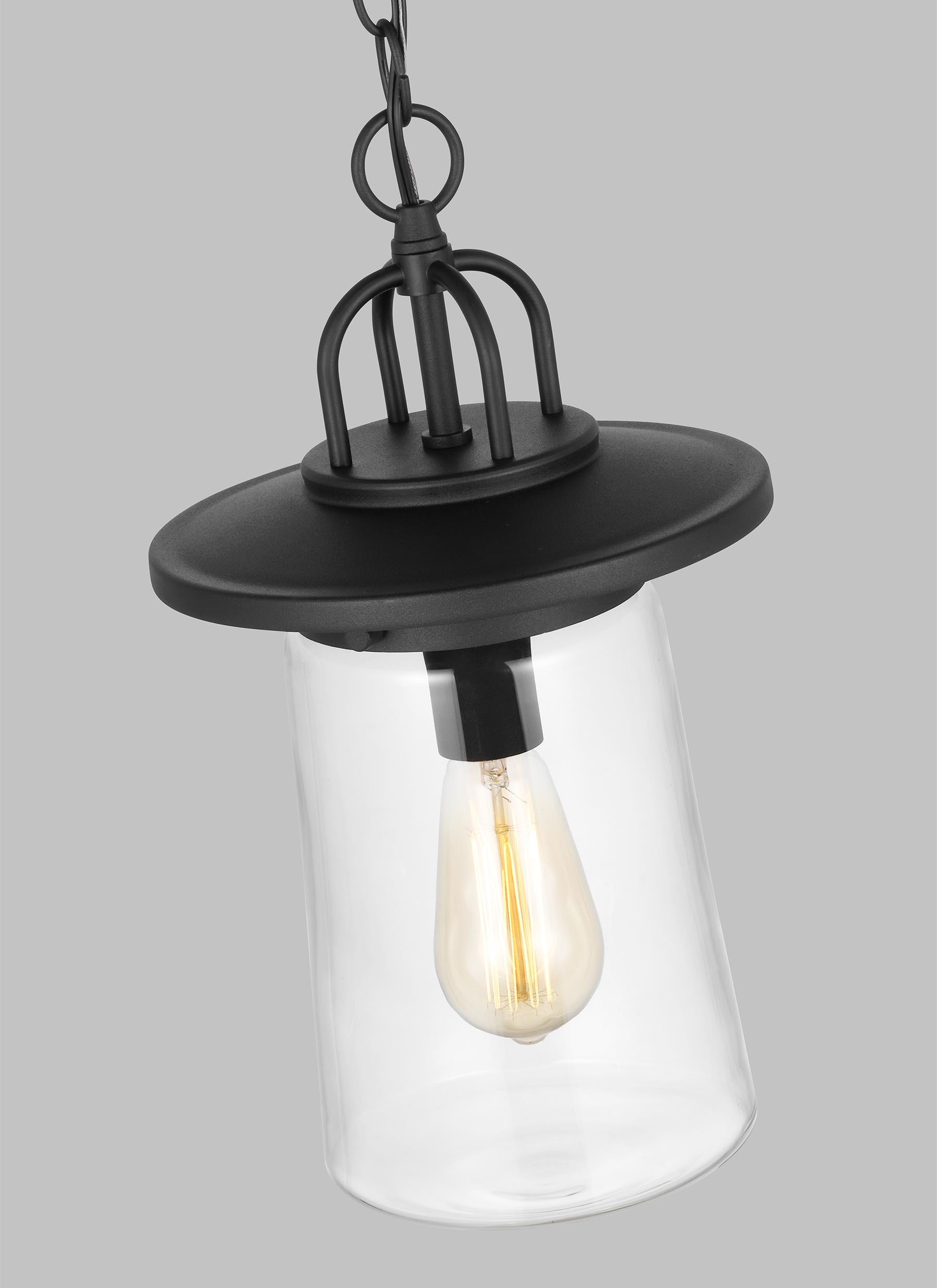 Tybee Black Clear Glass 1-Light Outdoor Pendant