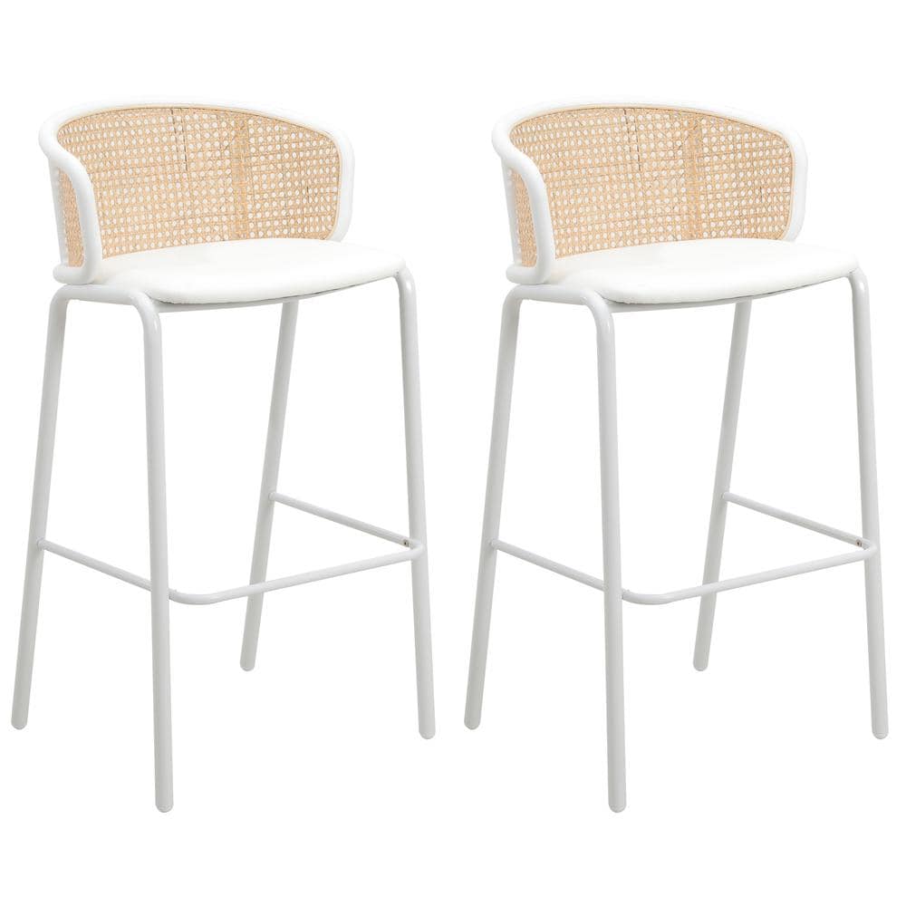 Leisuremod BG3465929 Seat and White Powder Coated Steel Frame Set of 2