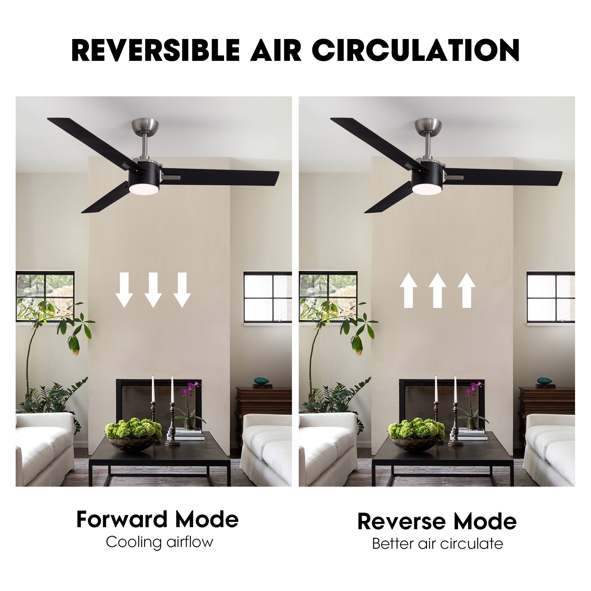 Antoine LSFD-10 Ceiling-Fans - View #3