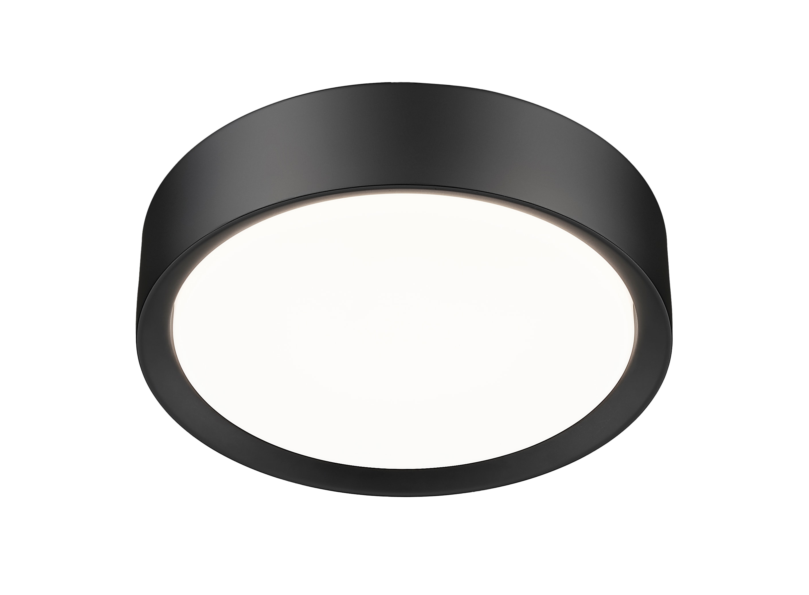 Z-Lite 1014F12-MB-LED flushmounts - View #5