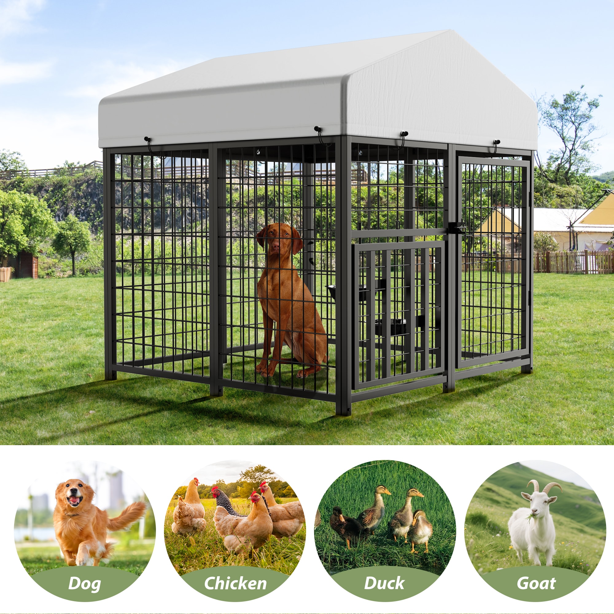 LOVMOR ODP-S-LSQ-1 Pet-Crates-Carriers - View #4