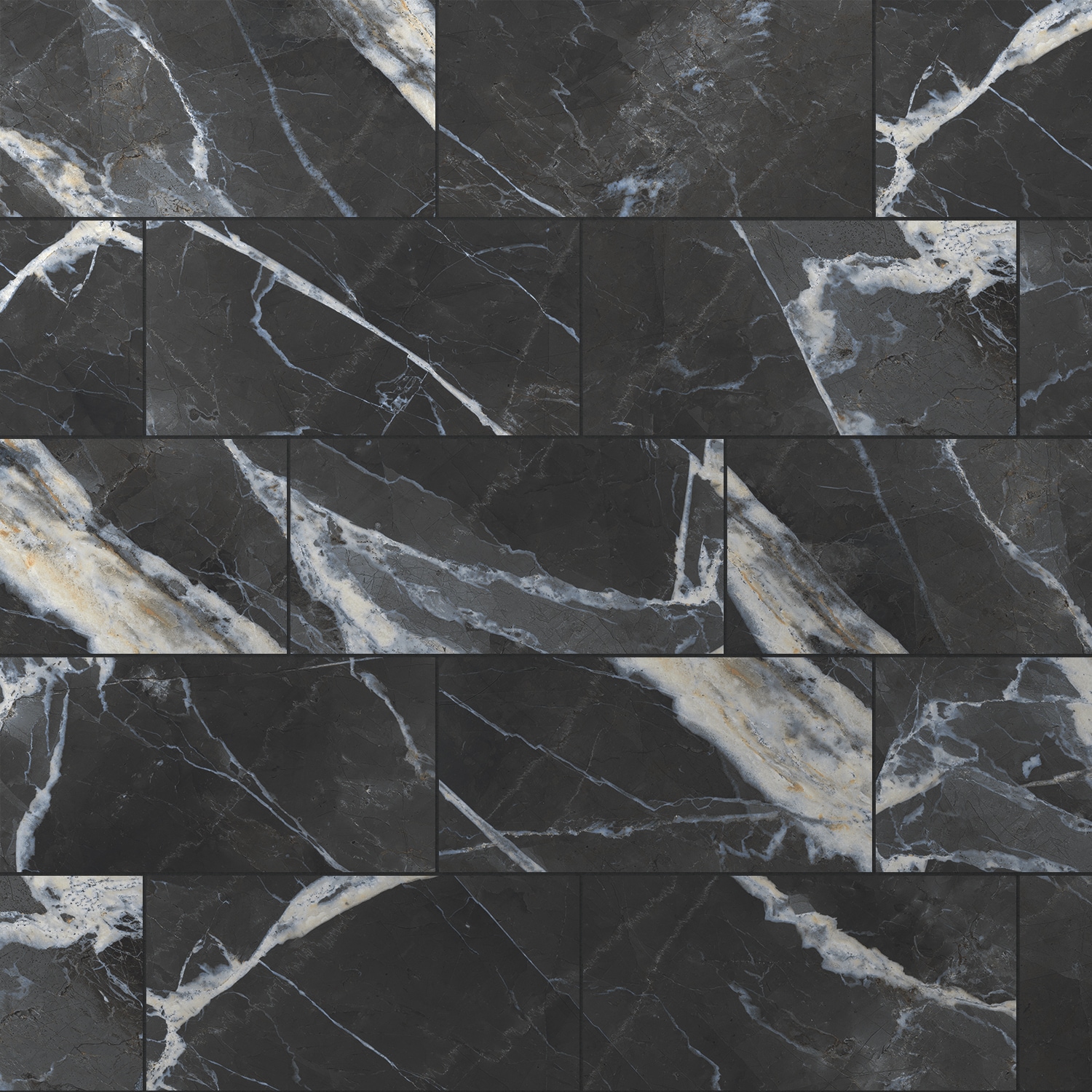 Calacatta Black 12-in x 24-in Matte Porcelain Marble Look Floor and Wall Tile (15.36-sq. ft/ Carton) | - allen + roth 1102051