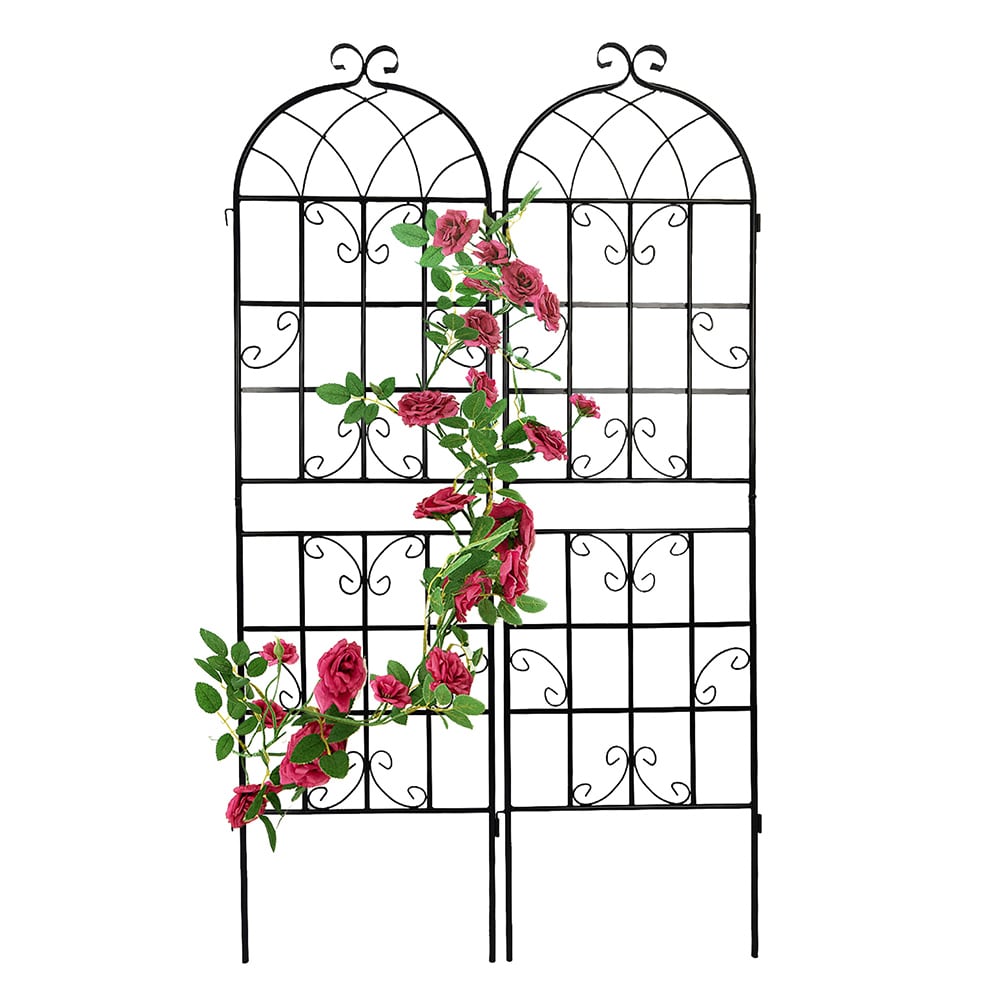 Topcraft 40-in W x 71-in H Black Steel Scroll Garden Trellis (2-Pack ...