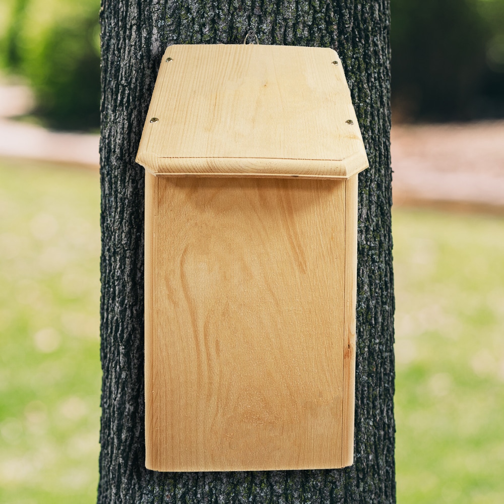 Coveside Conservation COV-01002 22.75-Inches H Natural Wood Chickadees Bird house accessories Predator Proof Bird House