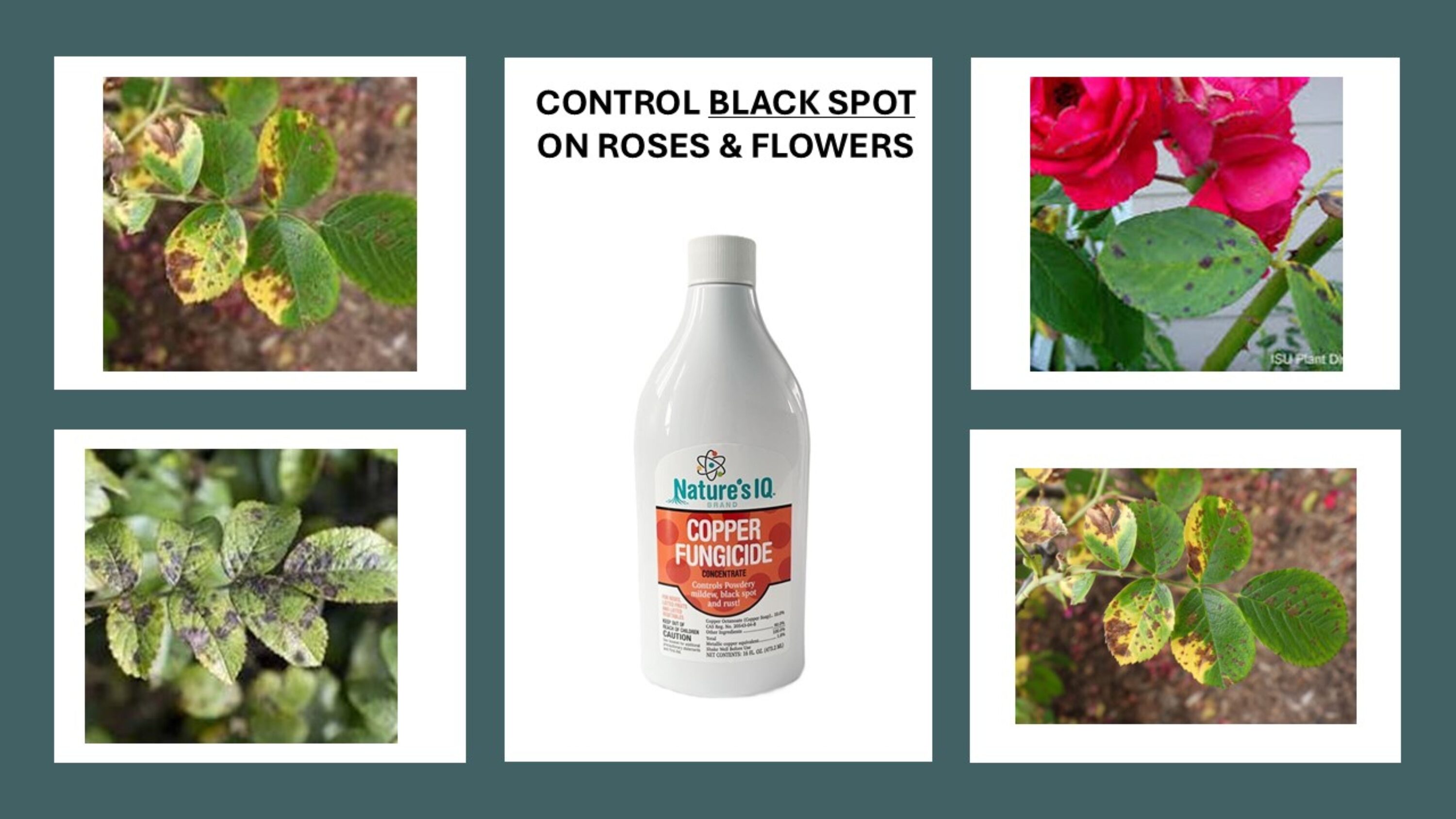 Nature’s IQ 93317 plantcare - View #3