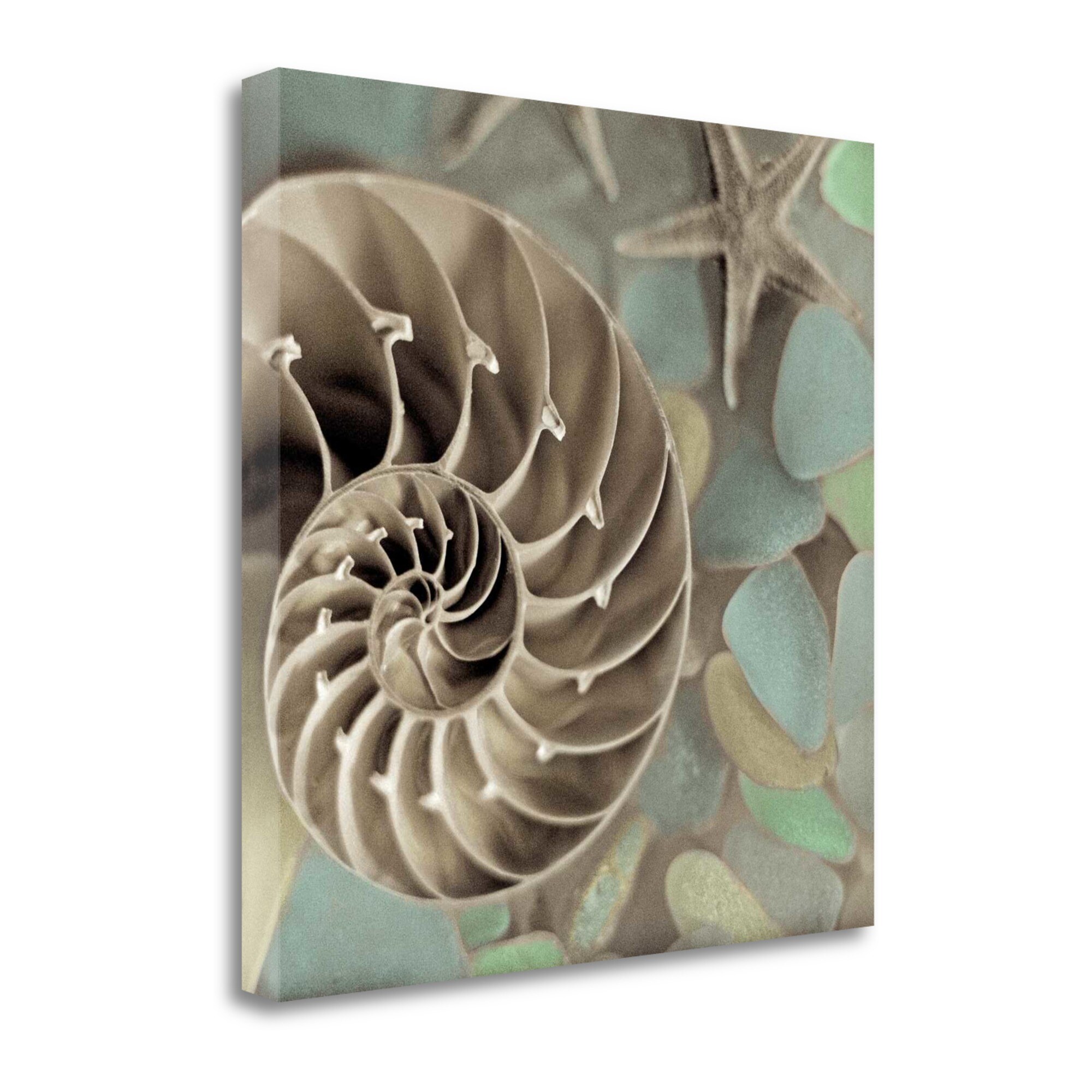 Tangletown Fine Art ICABSHC247-2020C Crystal Harbor- 14 Alan Blaustein 20-in H x 20-in W Coastal Print on Canvas