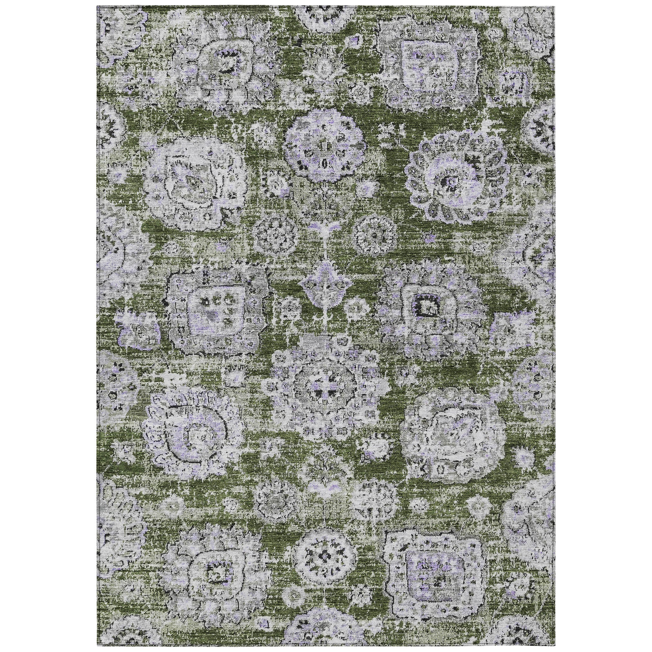 Addison Rugs ACN634OL30X46 rugs - View #2