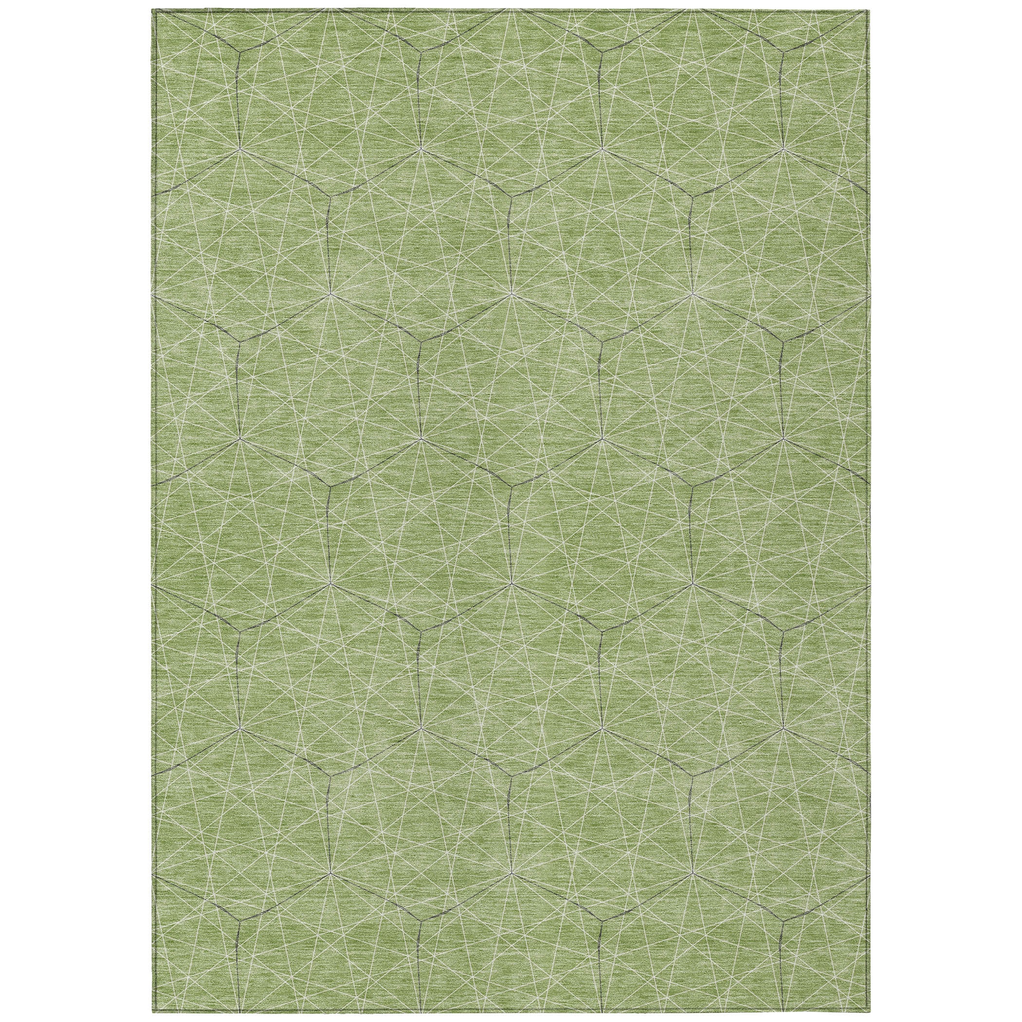 Addison Rugs ACN987GE30X46 rugs - View #2