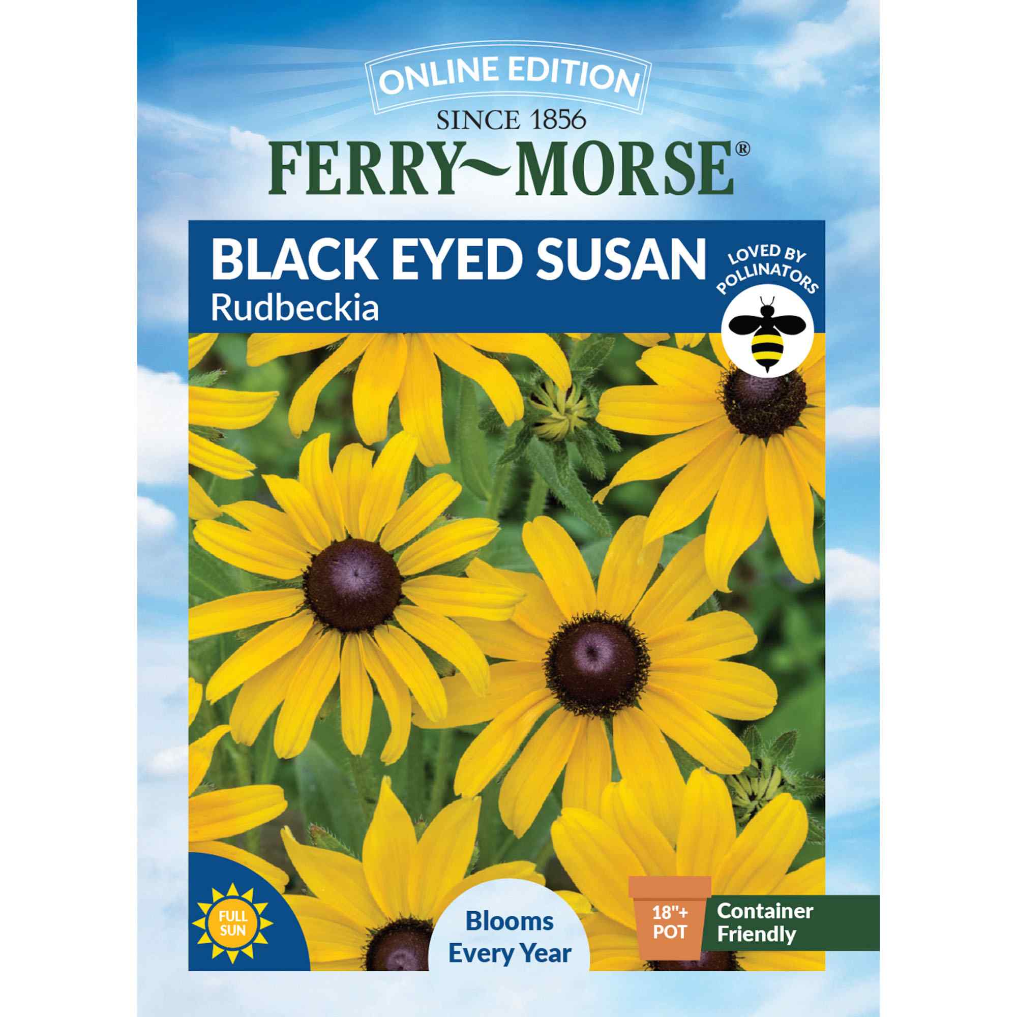 Ferry-Morse LC25.4000 Black Eyed Susan Seeds 200 Milligram(s)