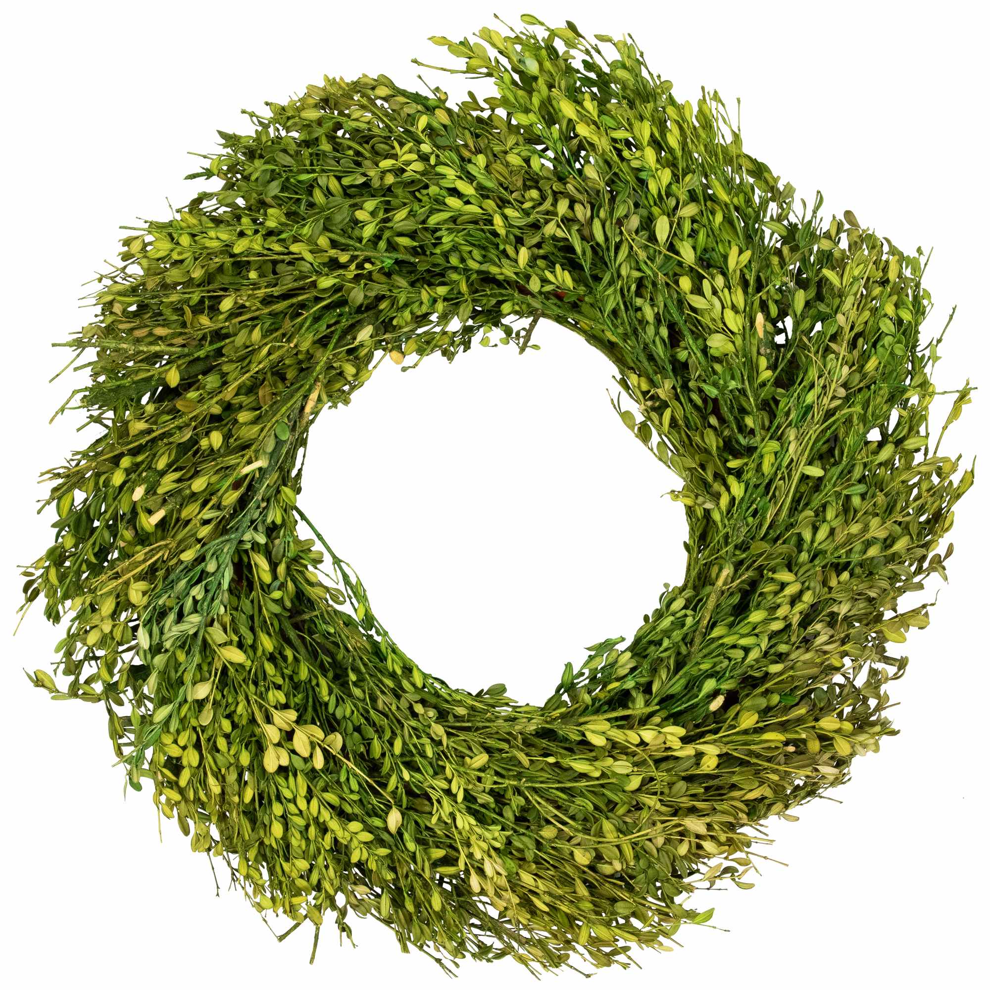 Northlight Green Foliage Artificial Spring Wreath - 20 feet - Unlit