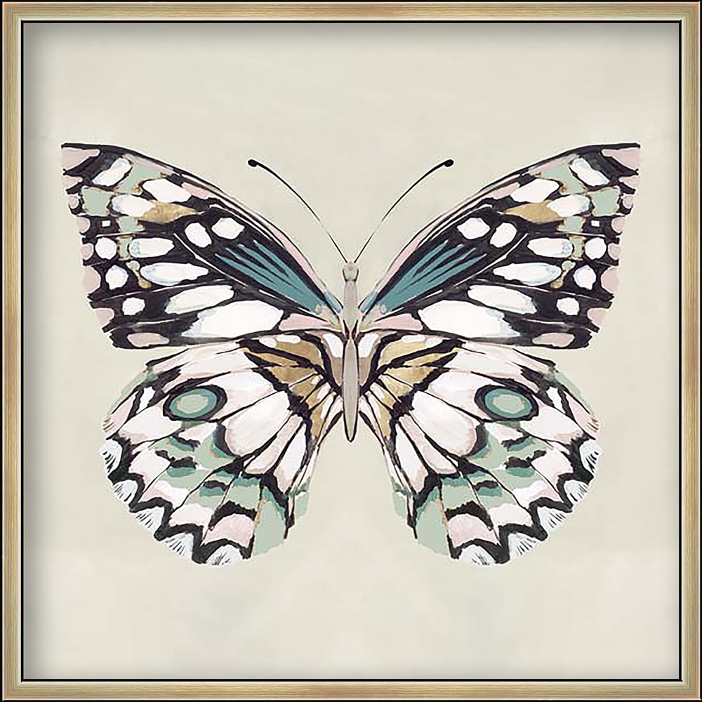Butterfly Shadowbox Art Framed 16.75-in H x 16.75-in W Botanical Glass Shadow Box in Bronze | - allen + roth 19300