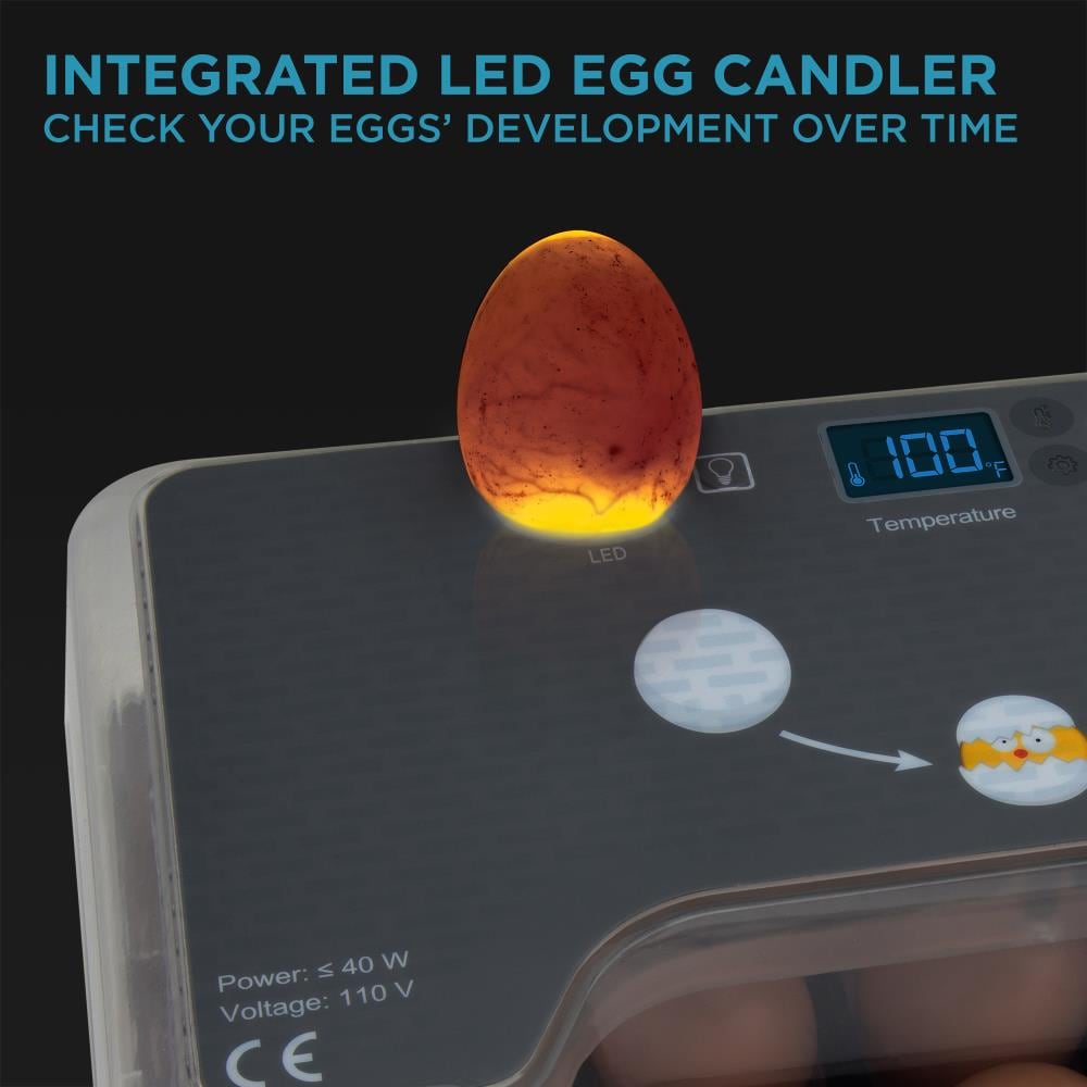  Powerful Professional LED Light Egg Candler Incubator