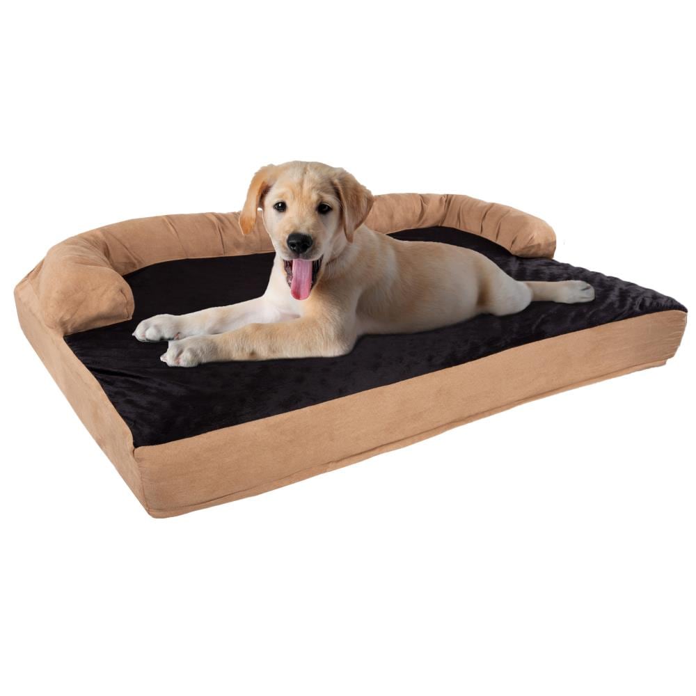 what size should a labrador bed be