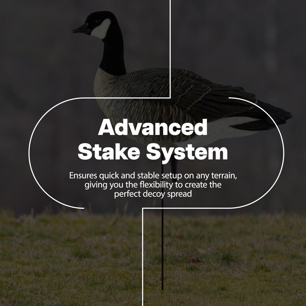  Avian X 408518 Hunting-Equipment - View #6