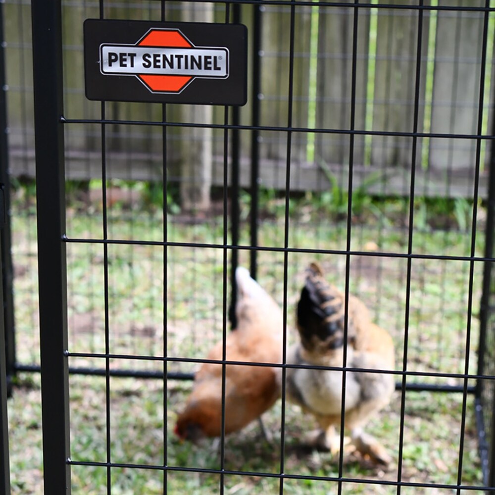 Pet sentinel 2024 welded wire kennel