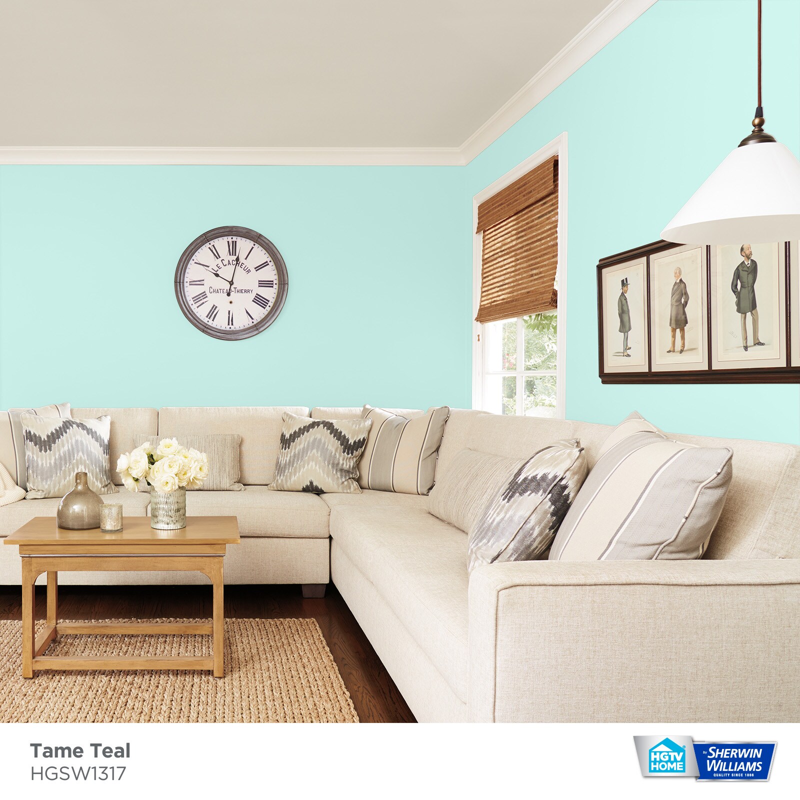 sherwin williams tame teal bedroom