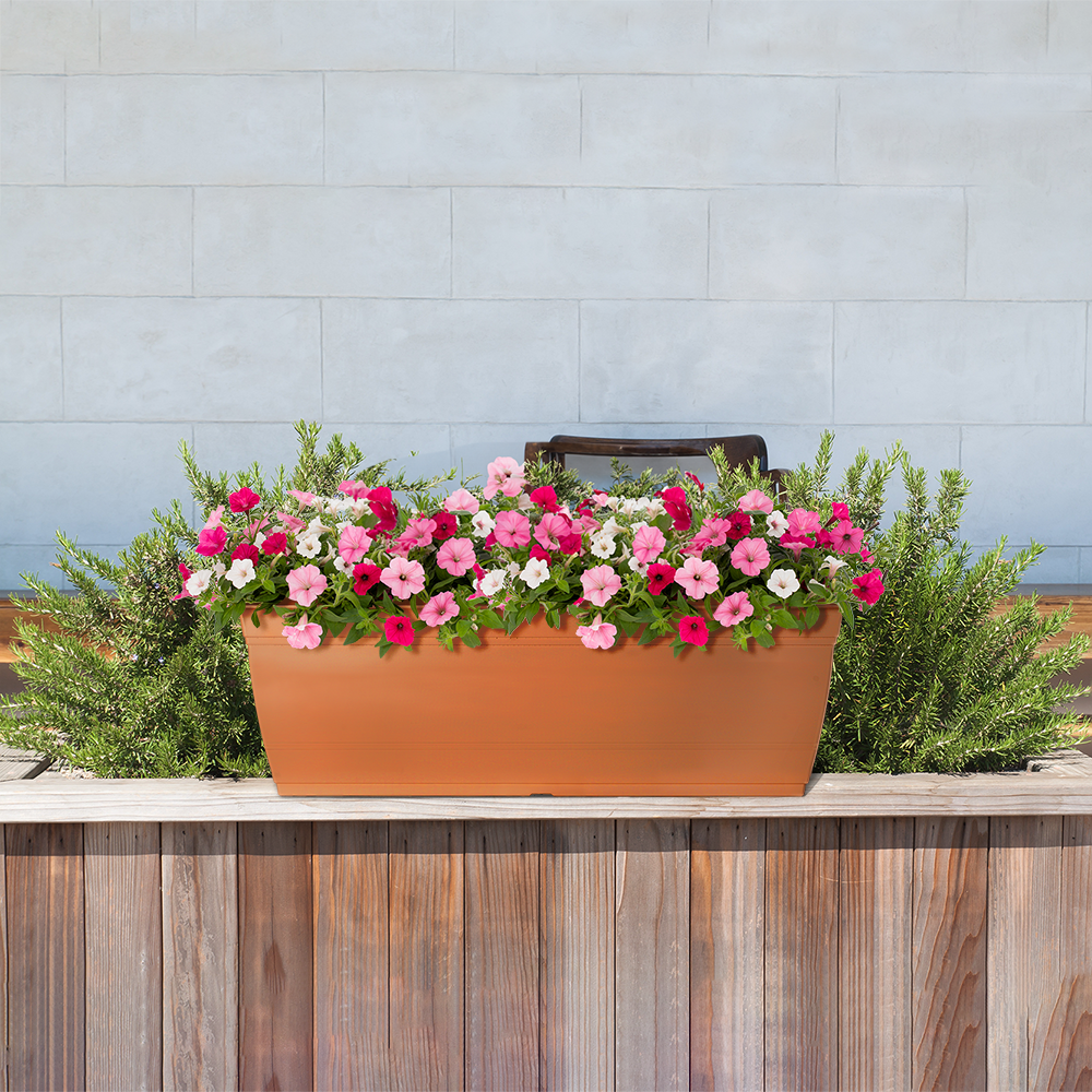 Style Selections WB2132H-CLAY Planter-Window-Box - View #4