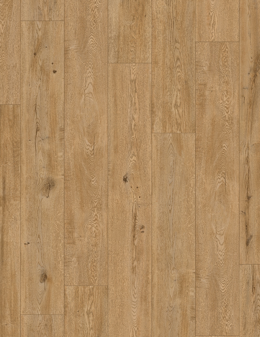 Scarlet Oak Natural 8-mm T x 8-in W x 50-in L Water Resistant Wood Plank Laminate Flooring (23.92-sq ft) in Gold | - allen + roth JJ-53341