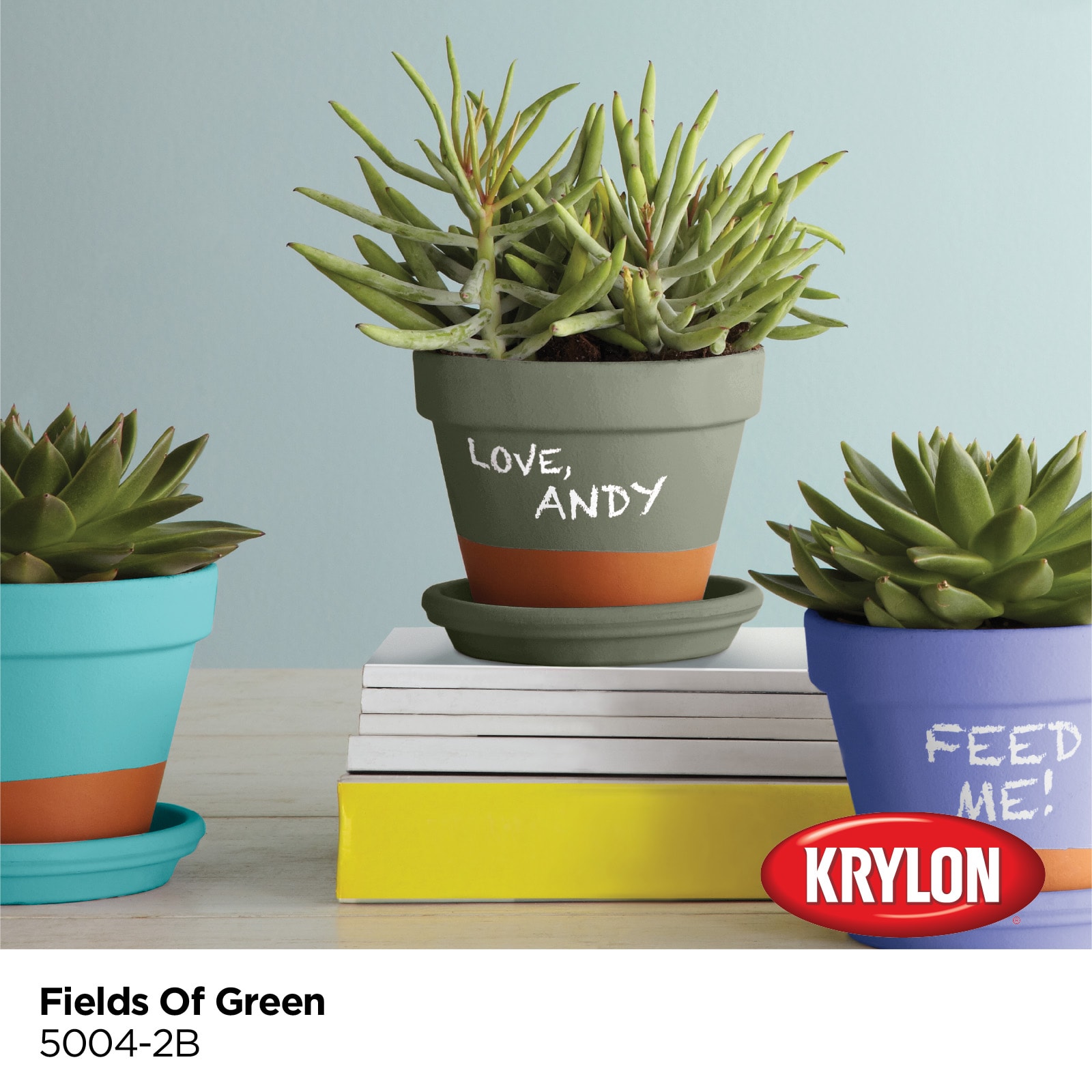 Krylon Fields Of Green 5004-2b Latex Chalkboard Paint (1-Quart) in the  Craft Paint department at