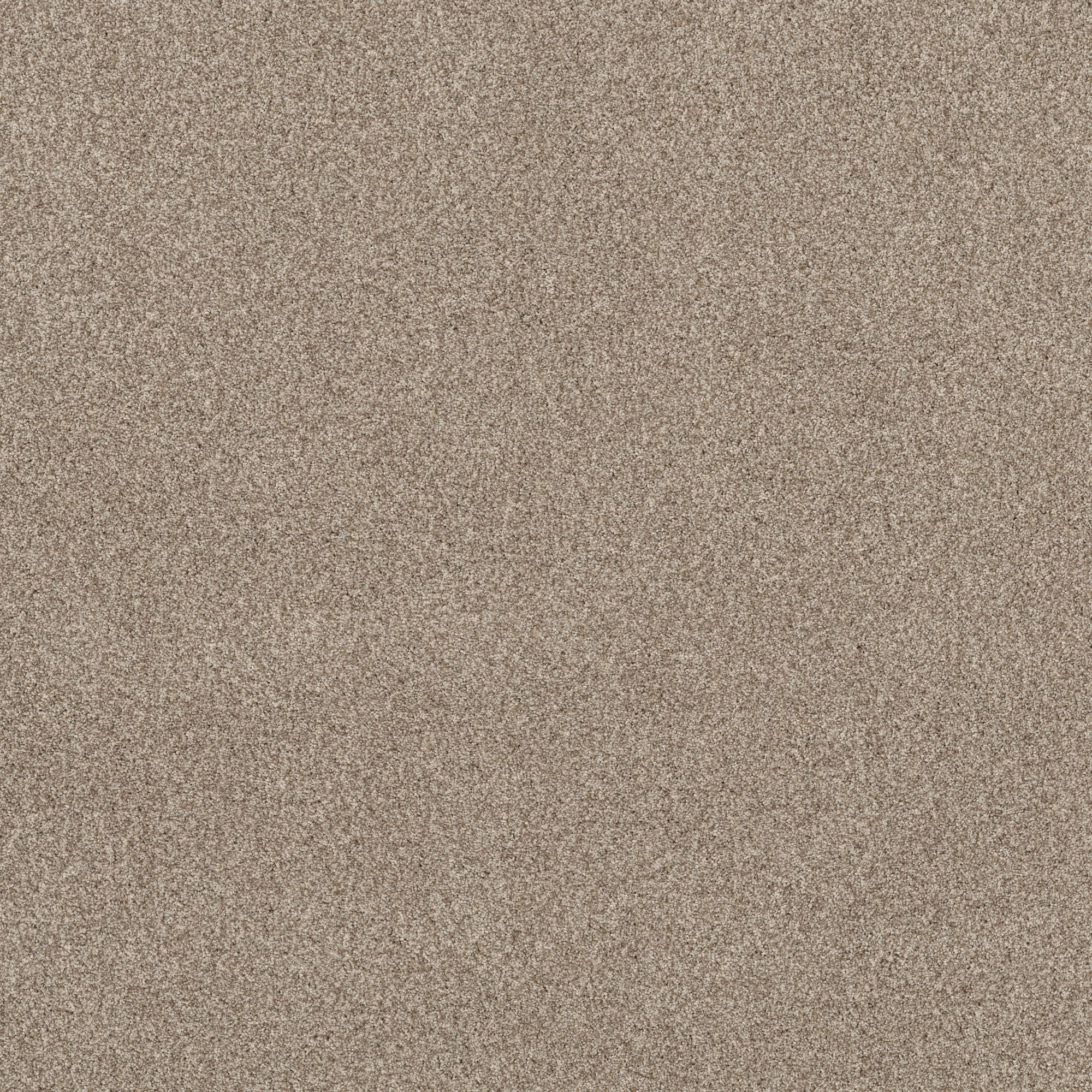 STAINMASTER PetProtect 7L859 - 712 - SAMP (Sample) Reverie II Meditation Brown 48.8-oz sq yard Nylon Textured Indoor Carpet
