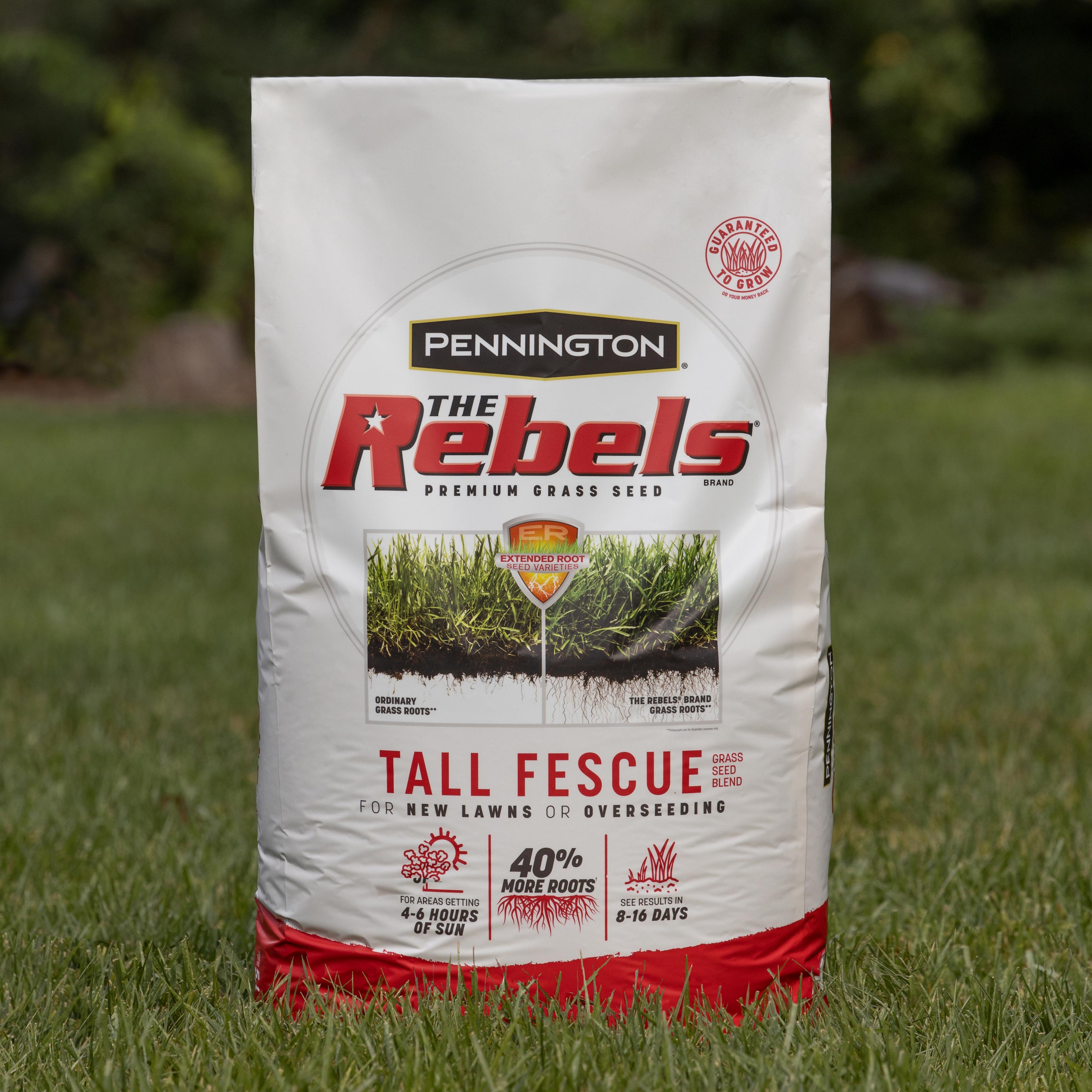 Pennington The Rebels 3 Lb Tall Fescue Grass Seed In The Grass Seed Department At 