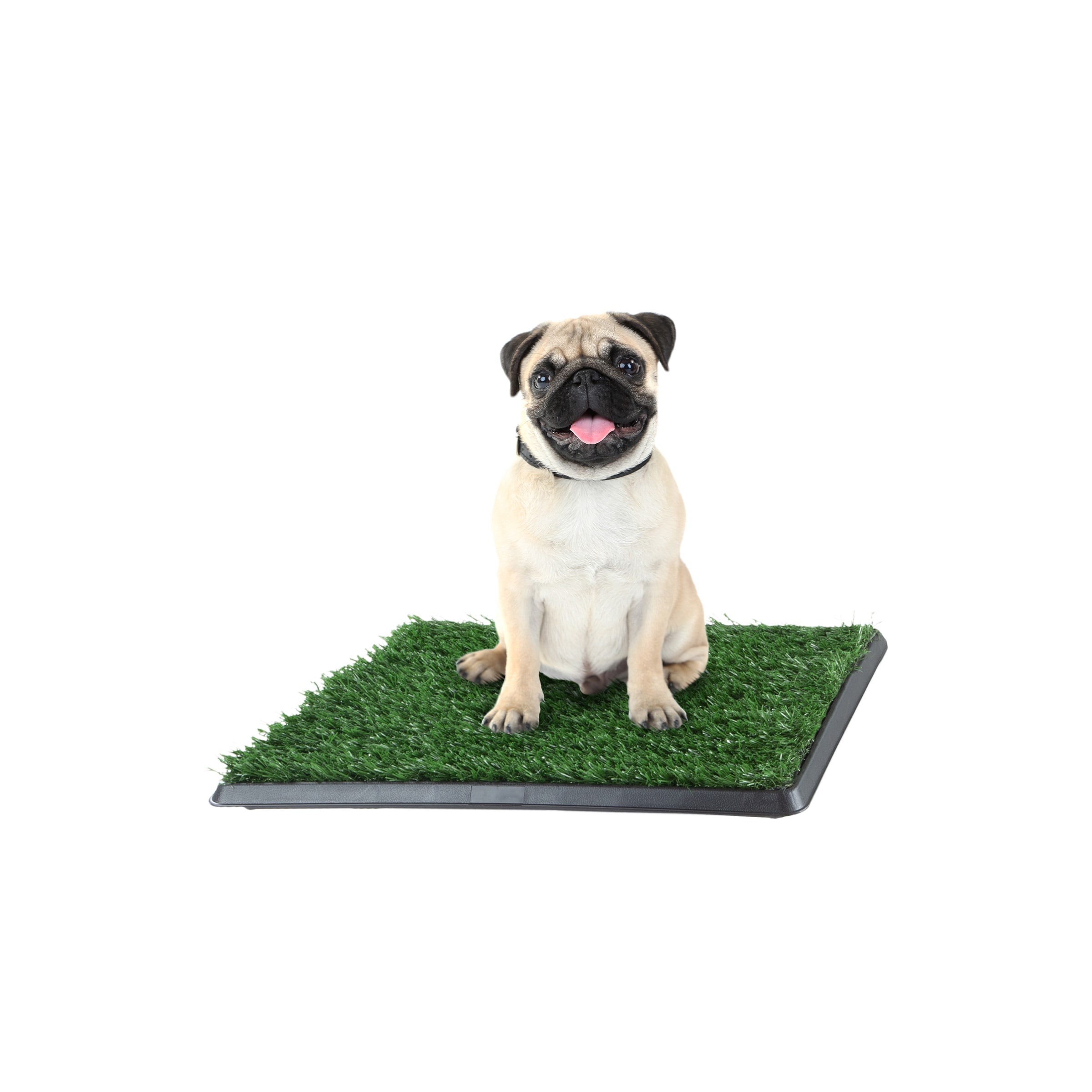 Pet Pal 18.5-in x 14-in Reusable Synthetic Plastic Artificial Grass Mat
