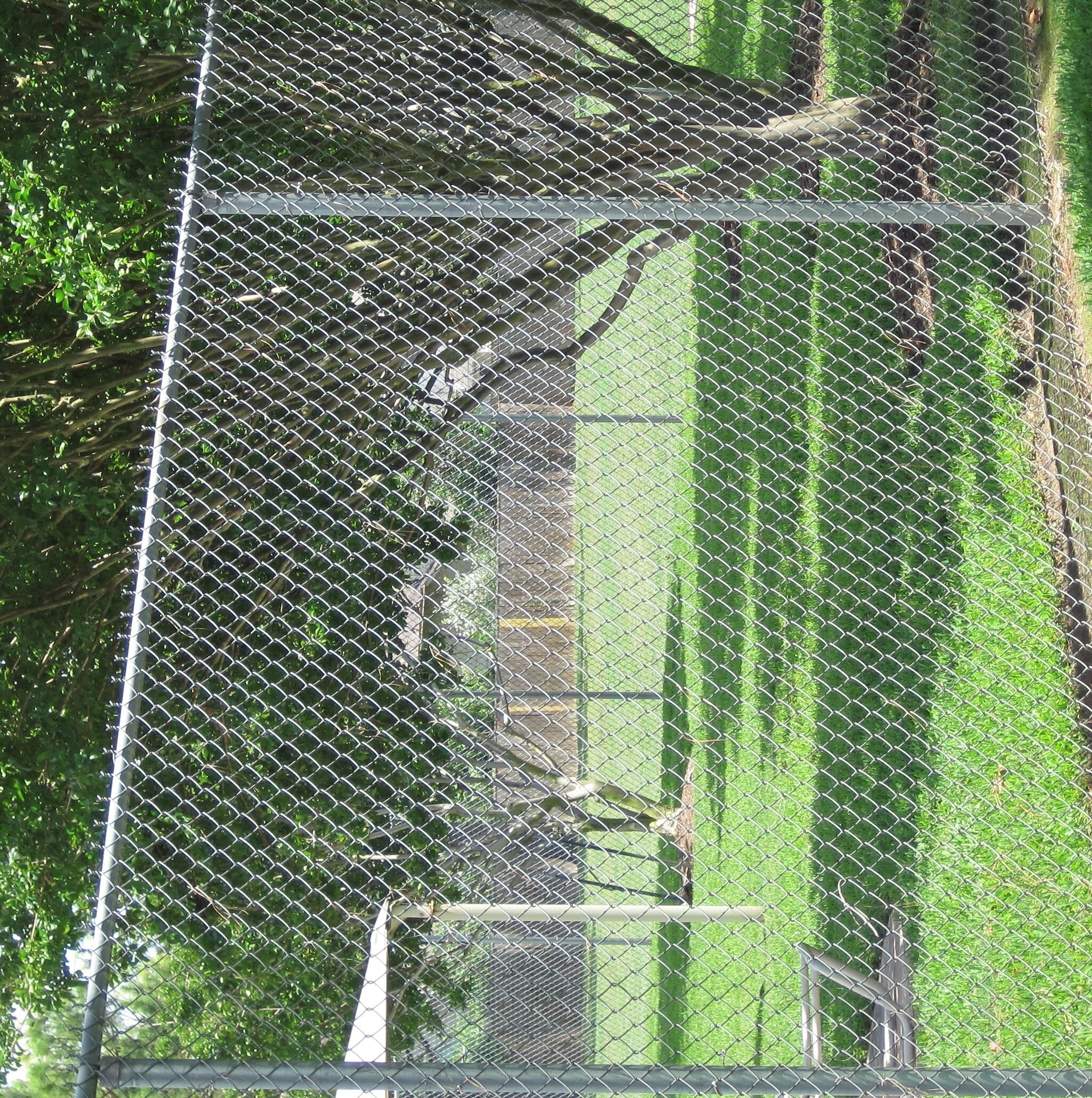 Merchants Metals 10-ft H x 2-3/8-in W 13 -Gauge Galvanized