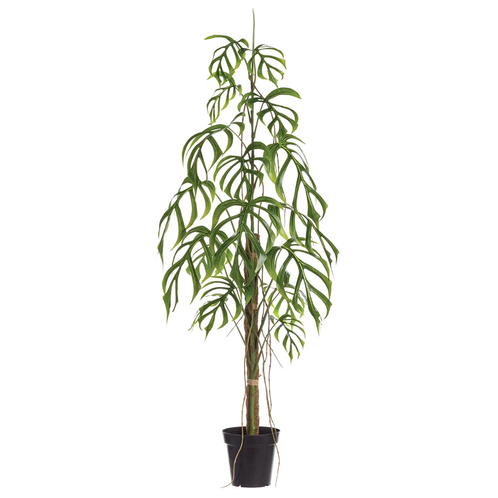 Allstate Floral - 69-in Green Indoor Floor Monstera Artificial Plant