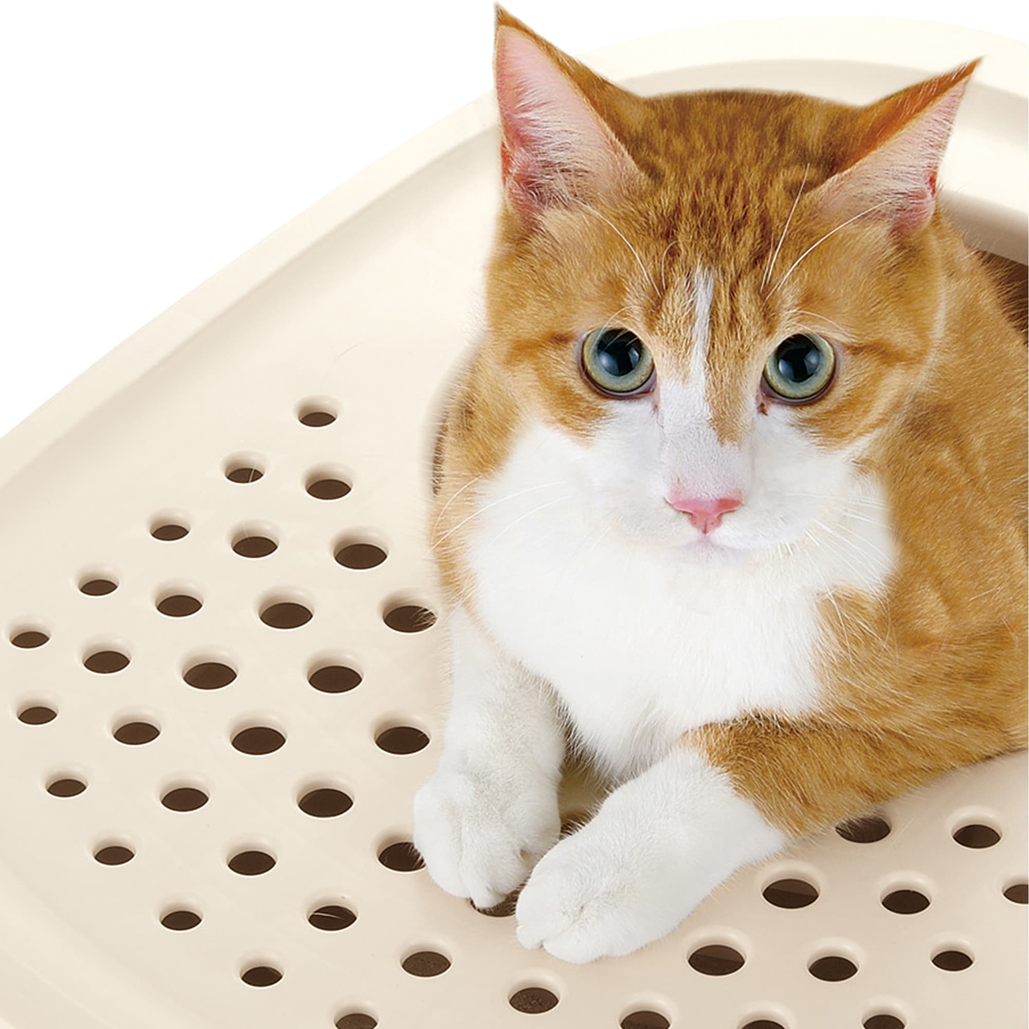 Richell G0803840600061 Cat-Litter-Box - View #4