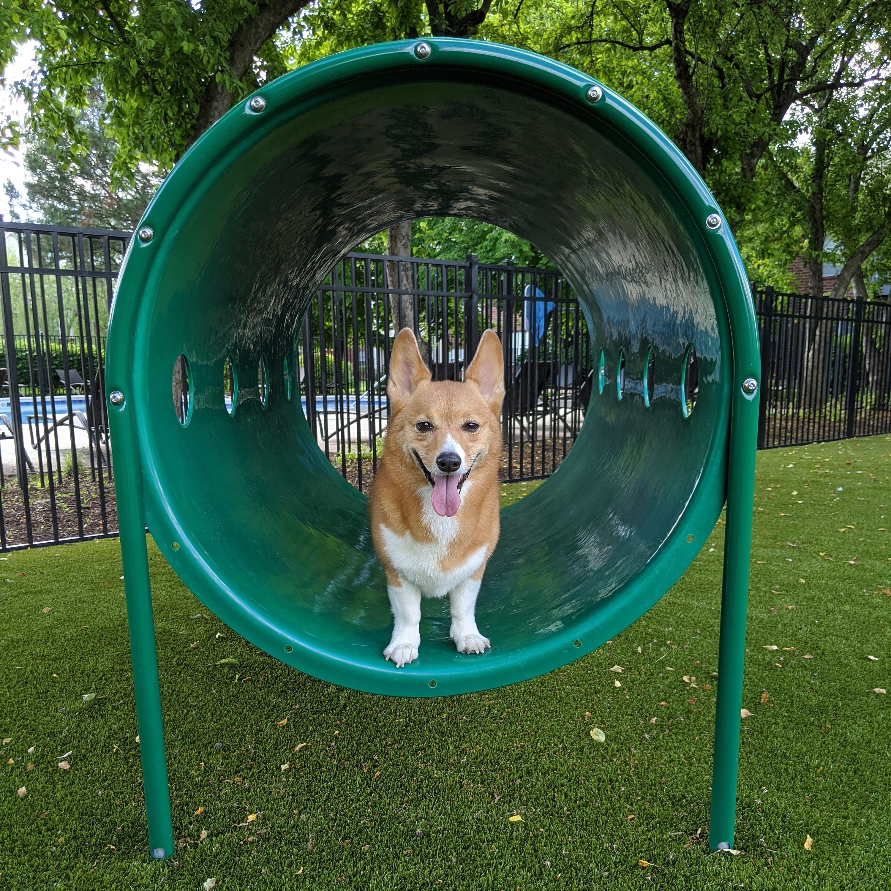UltraPlay 02-07-0057-GRN Dog-Park-Agility-Course-Components - View #2