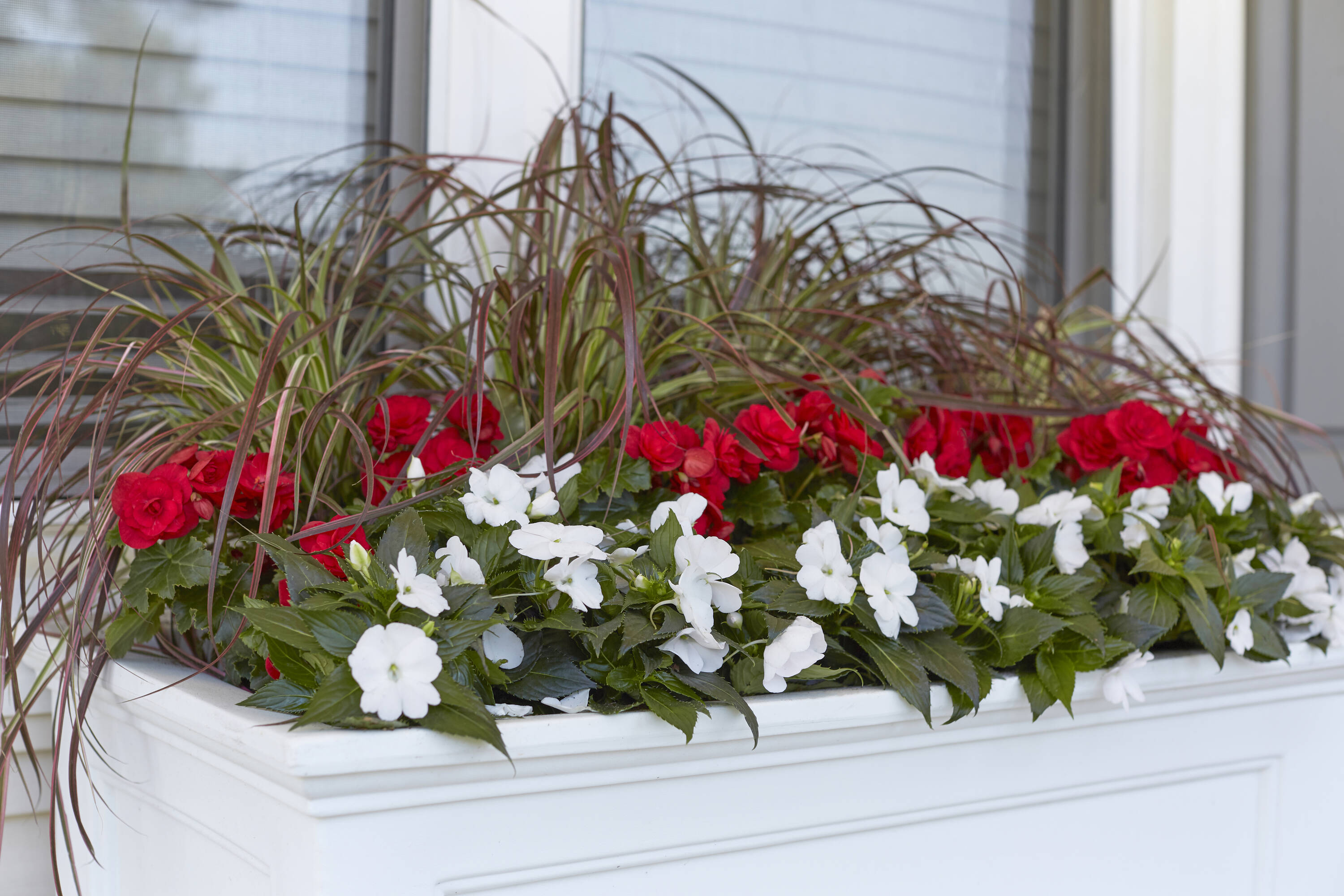 Lowe's 810076 annuals - View #7