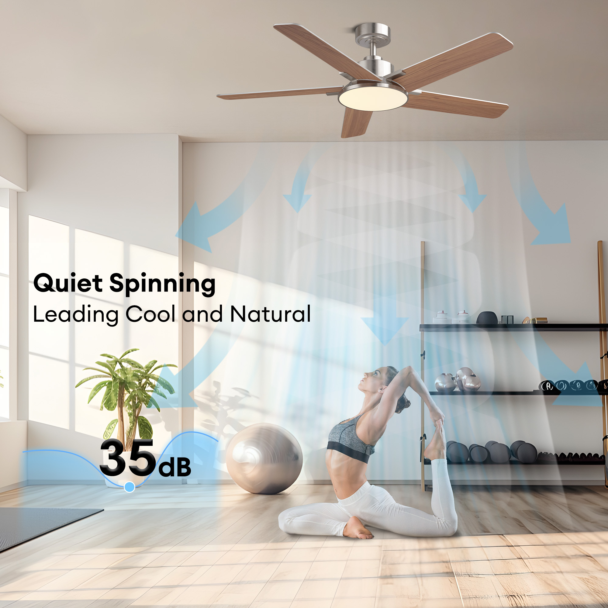 SILJOY WY-009D-52-03 Ceiling-Fans - View #10