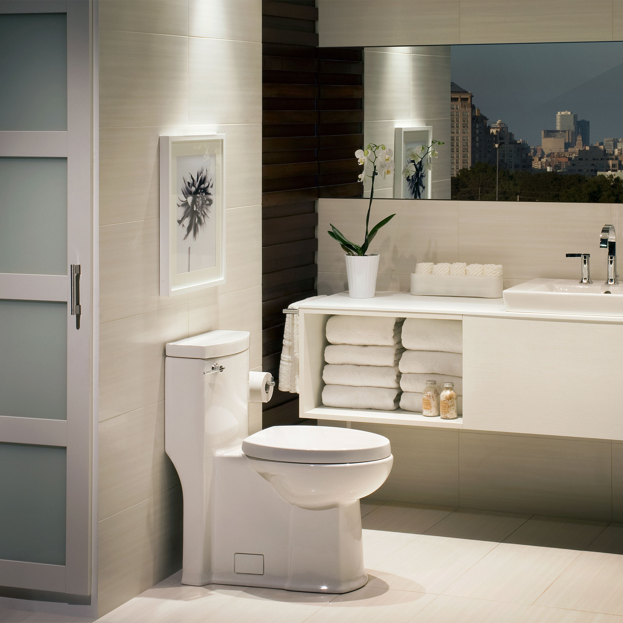 American Standard 2891128.020 toilets - View #3