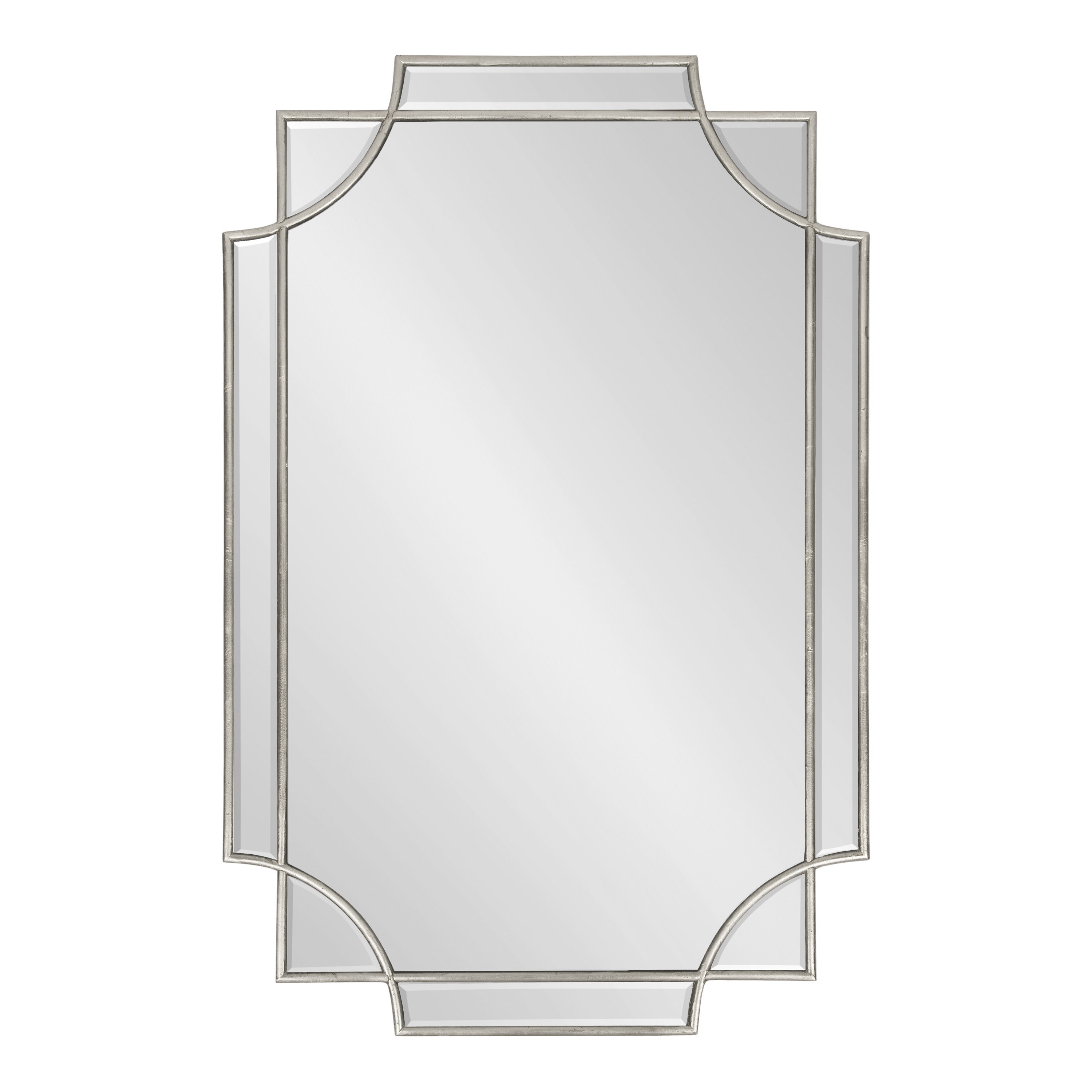 Elegant Transitional Silver Wood Full-Length Mirror, 39.35x28.25