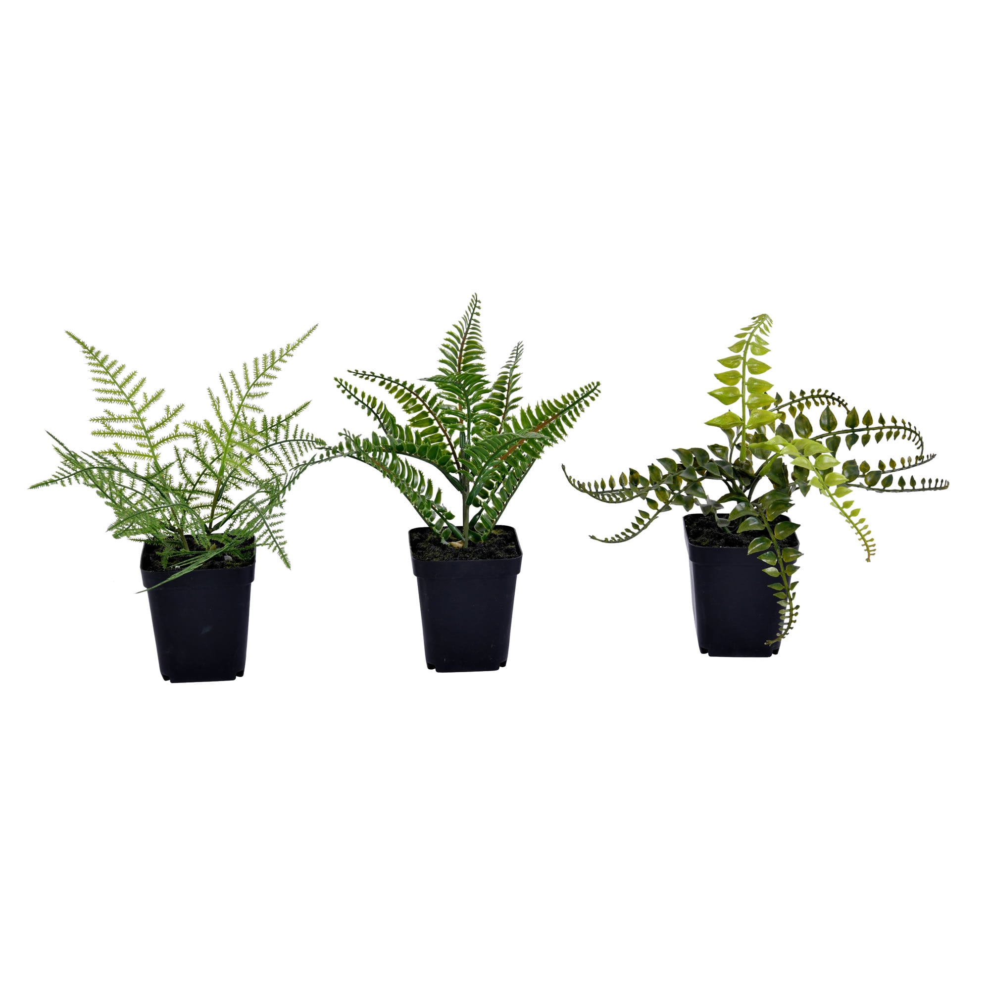 Vickerman FE192106 10-in Green Indoor Fern Artificial Plant