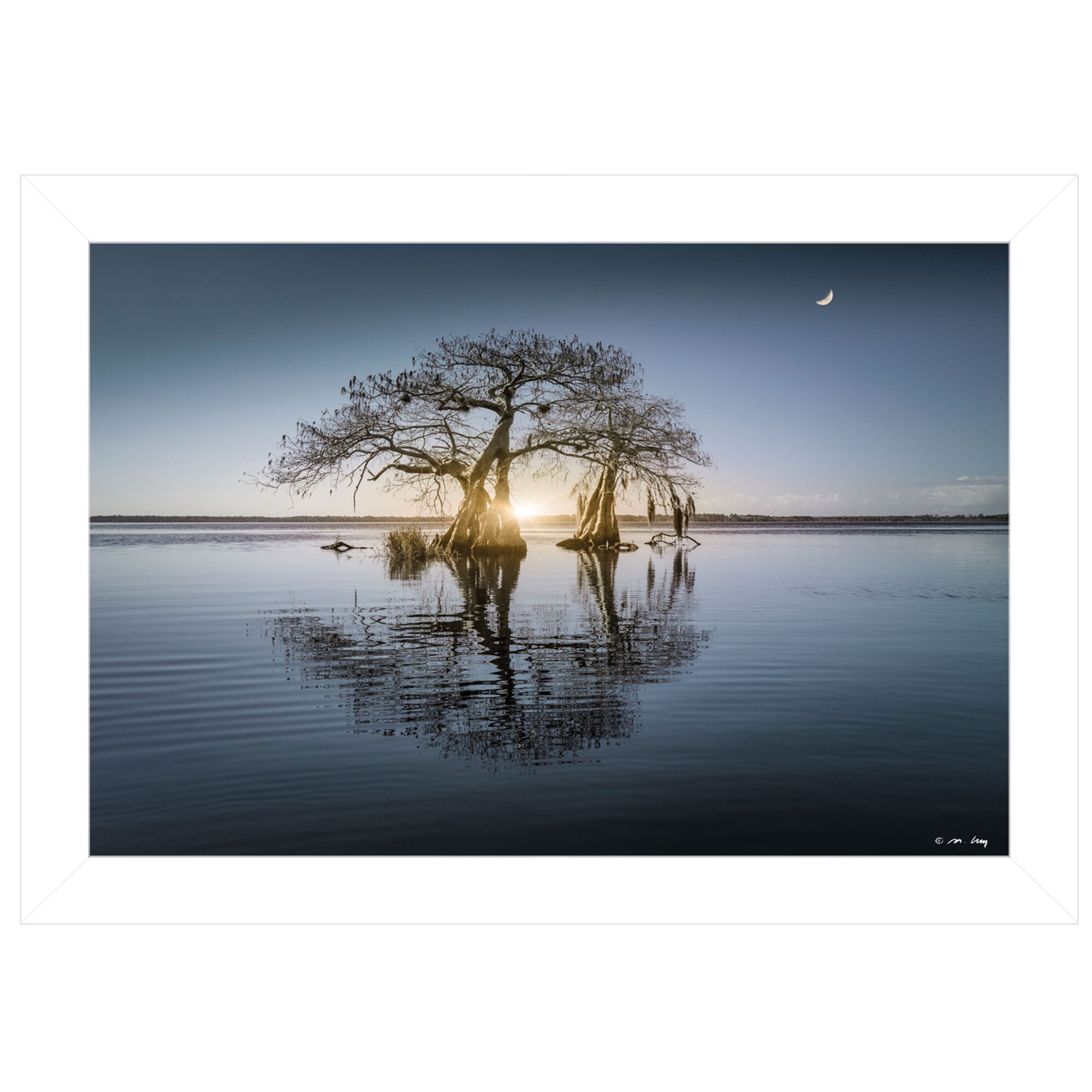 Trendy Decor 4U LEV108-226 Tree Reflections Moises Levy White Wood Framed 15-in H x 21-in W Coastal Paper Print