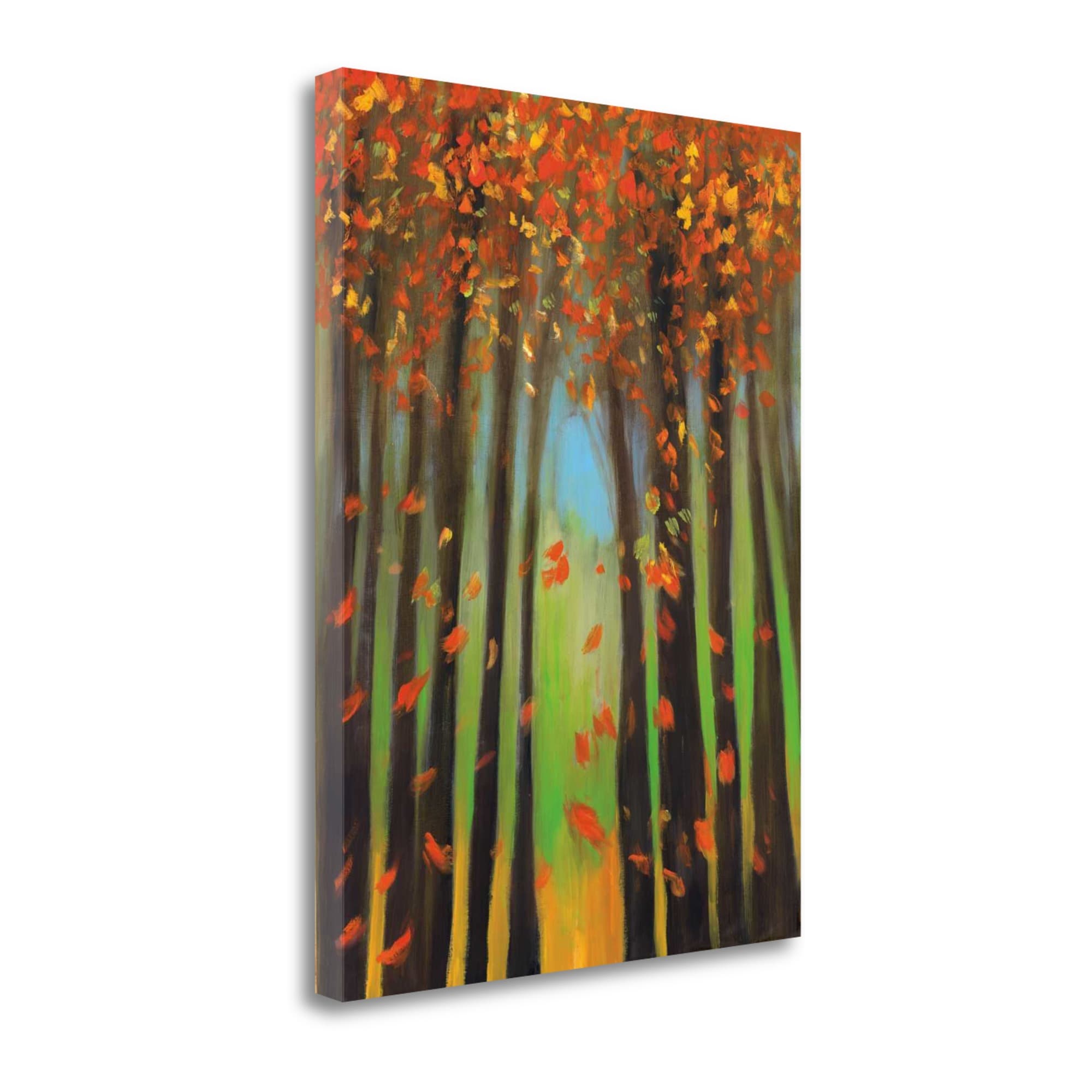 Tangletown Fine Art CAPMP130-2129C Colors Of Fall Ii Mark Pulliam 29-in H x 21-in W Landscape Print on Canvas