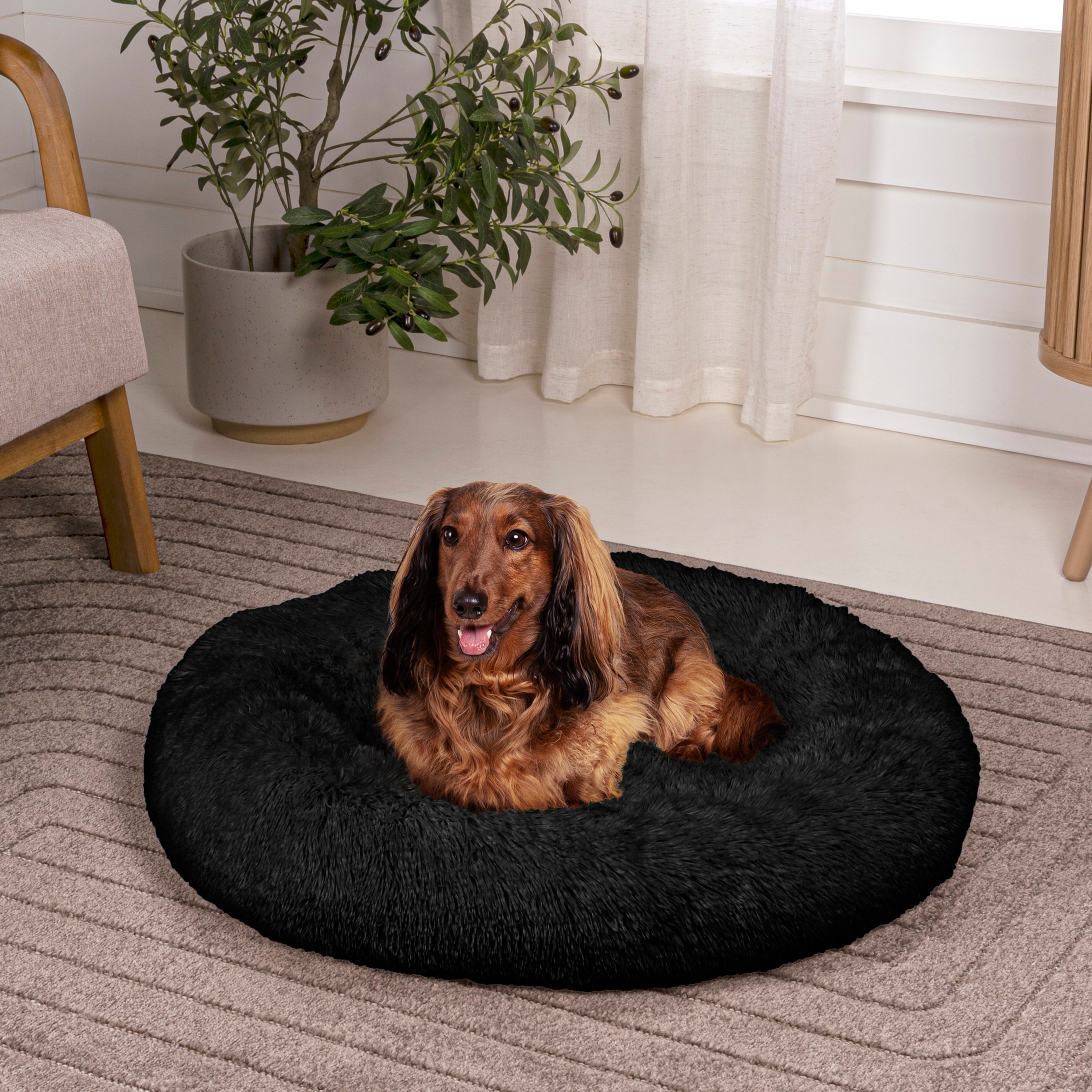 The Licker Store DBD3003D-XXL Pet-Beds - View #2