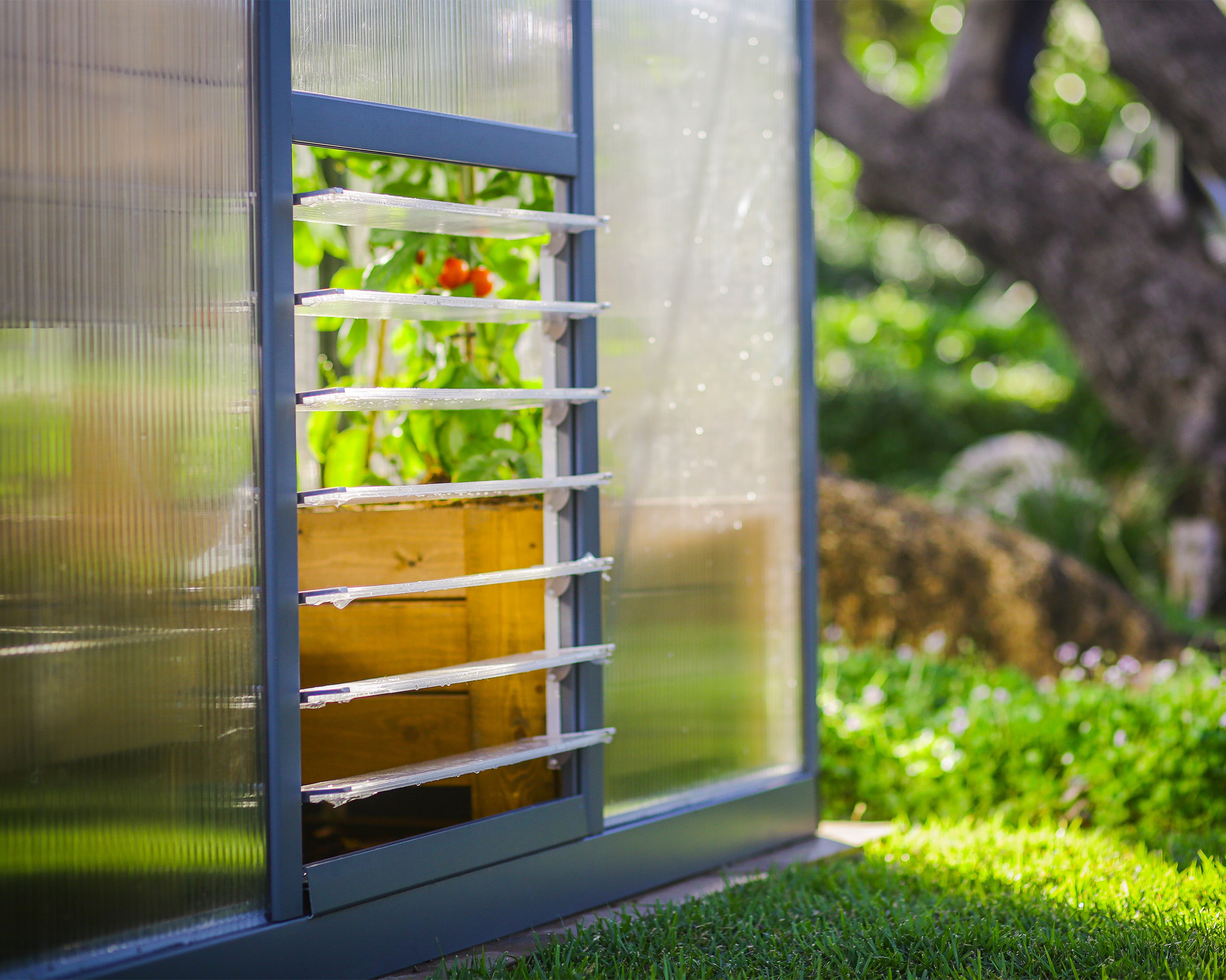 Canopia by Palram 702208 greenhouses - View #11