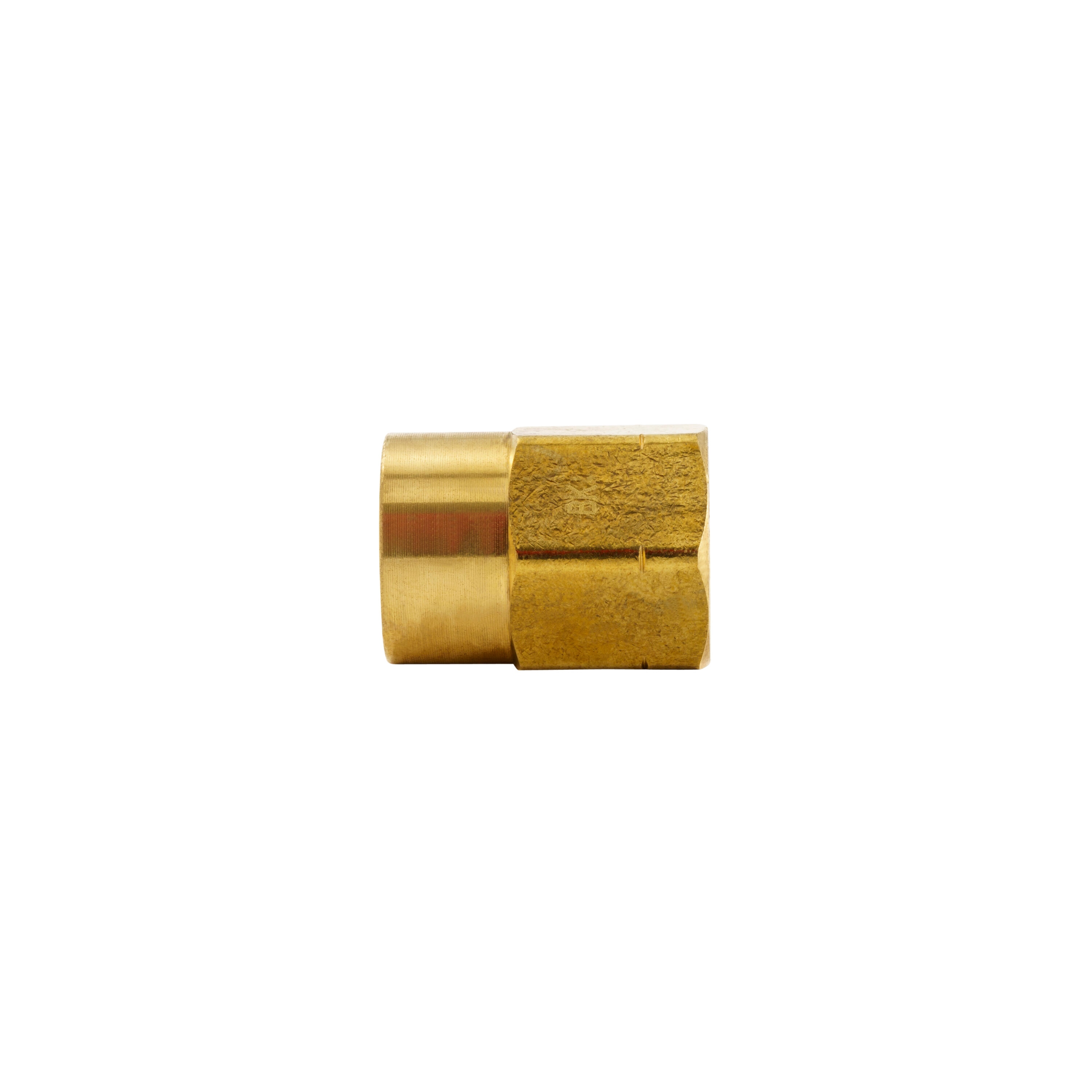 Proline Series 1/2-in x 1/2-in Compression Coupling Fitting in the Brass  Fittings department at