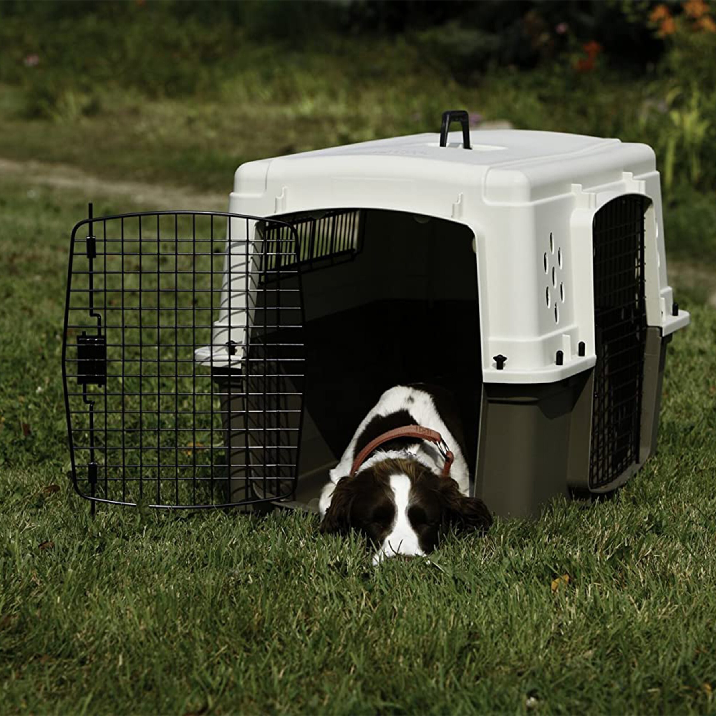 Miller Manufacturing Company 246151 Pet-Crates-Carriers - View #3