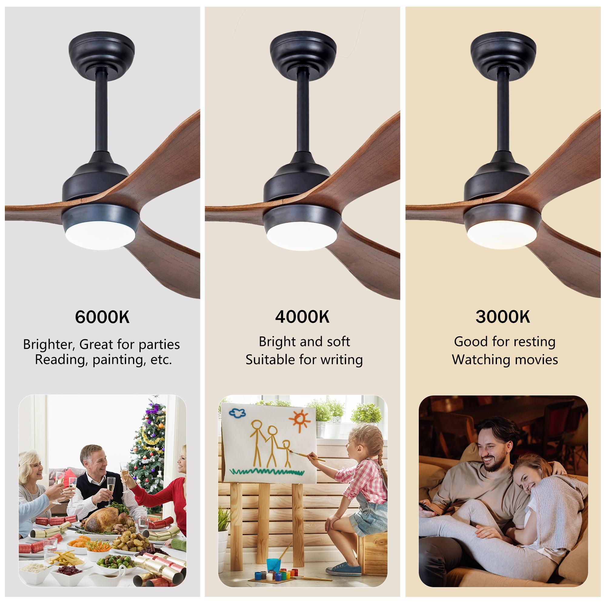 Bayfeve BF-443056-MP Ceiling-Fans - View #12