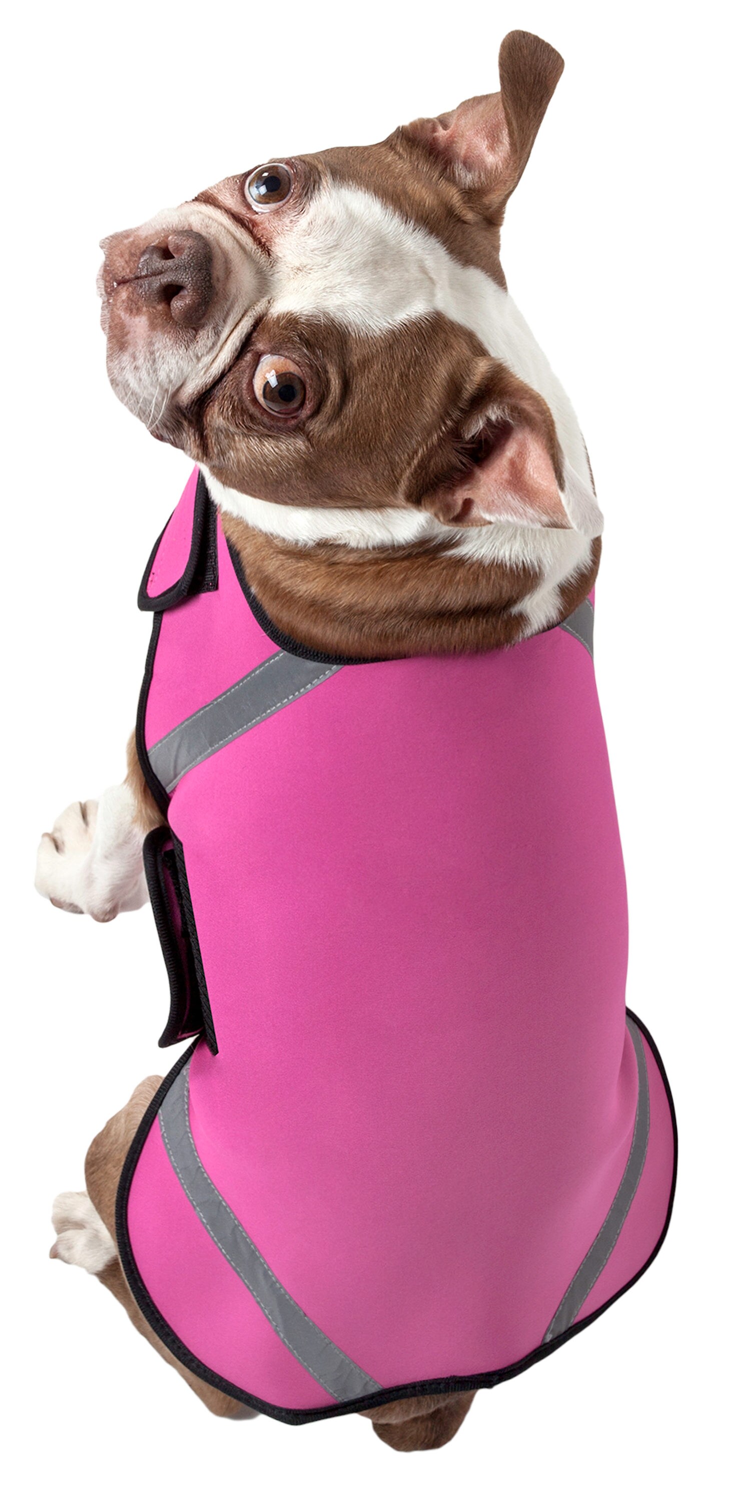 Pet Life 36PKLG Dog-Apparel - View #3