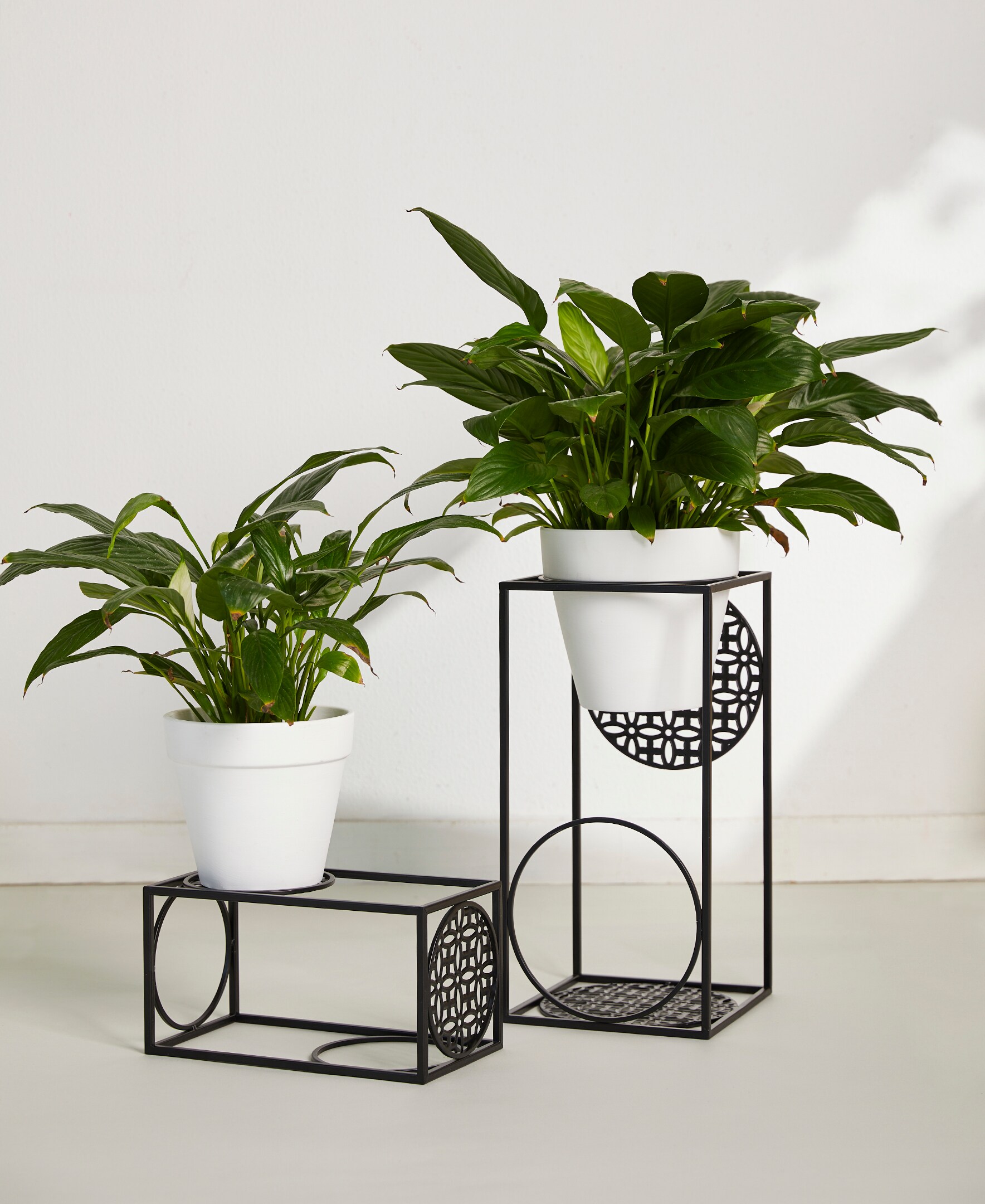 Glitzhome 2007200069 Planter-Window-Box - View #5