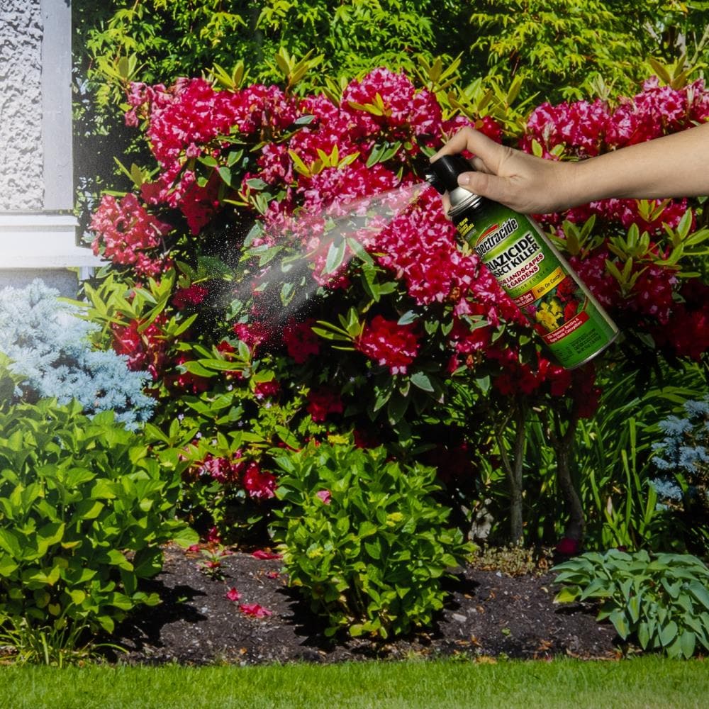 Spectracide HG-96474 pesticides - View #2